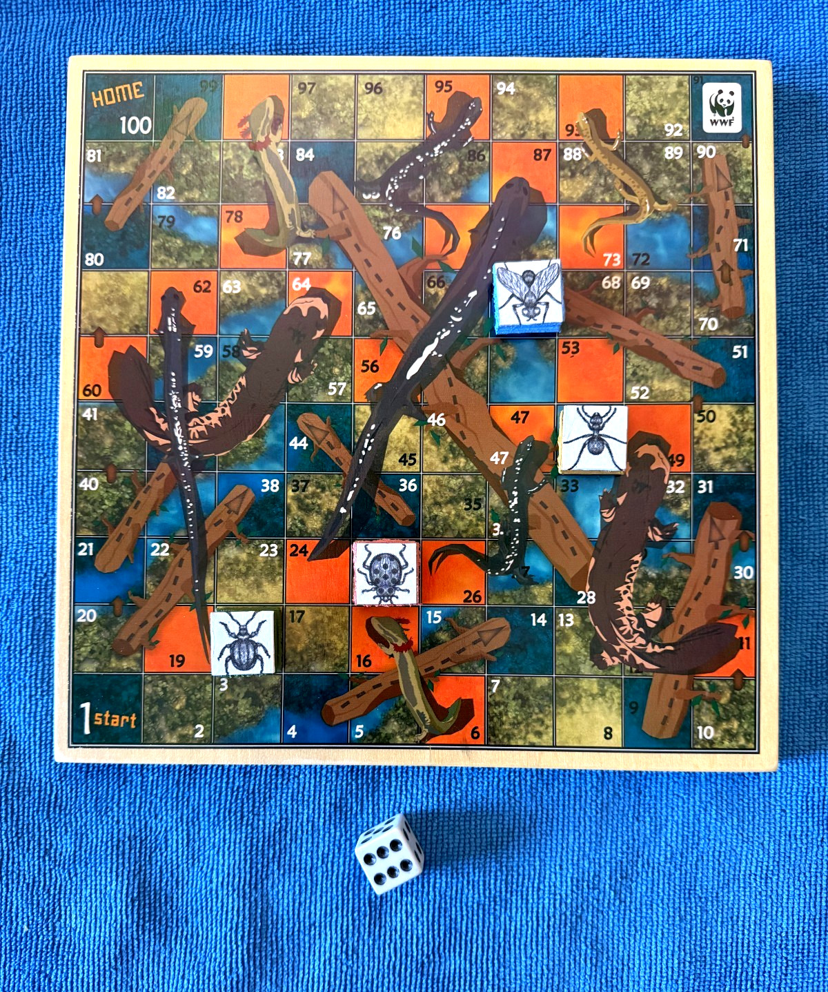 OOP SALAMANDERS (Snakes Chutes) AND LADDERS boardgame WOODEN BOARD game insects