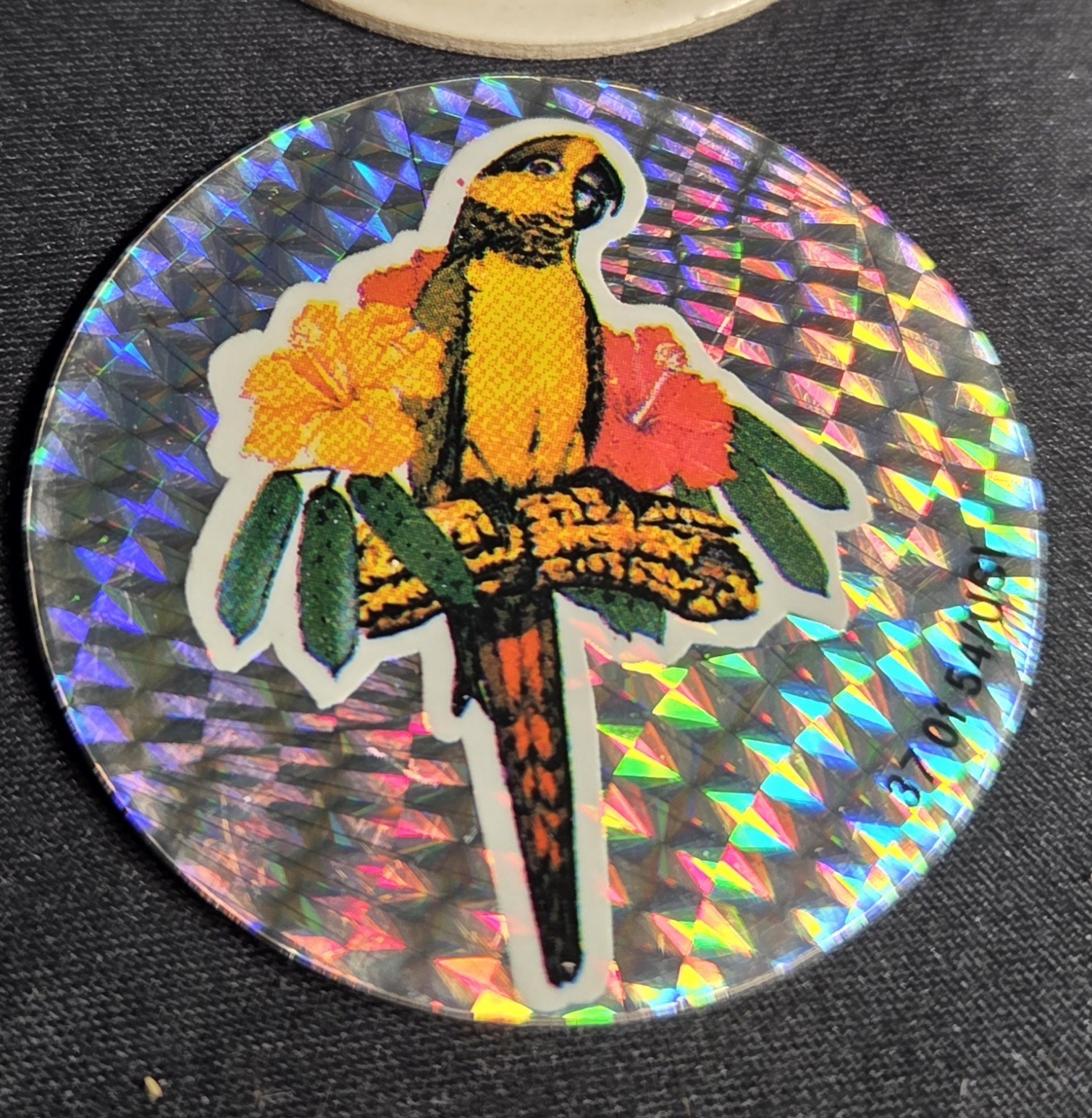 Set Of 4 Vintage 90s Pogs Rhino Dolphins Parrot Elephant