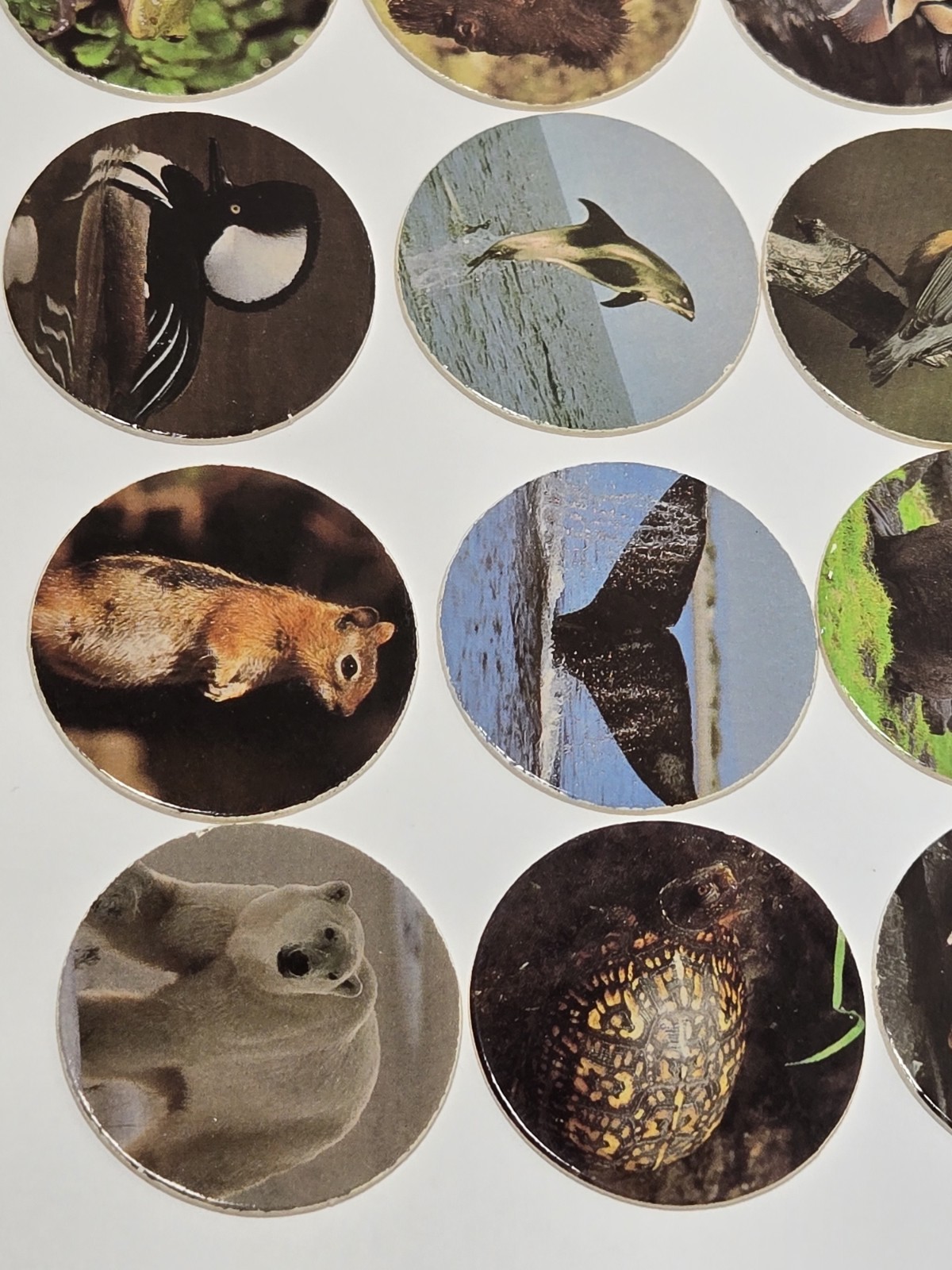 Used Vintage 90s Pogs Lot Of 12 Wildlife Animals Birds Sea Life Frogs.