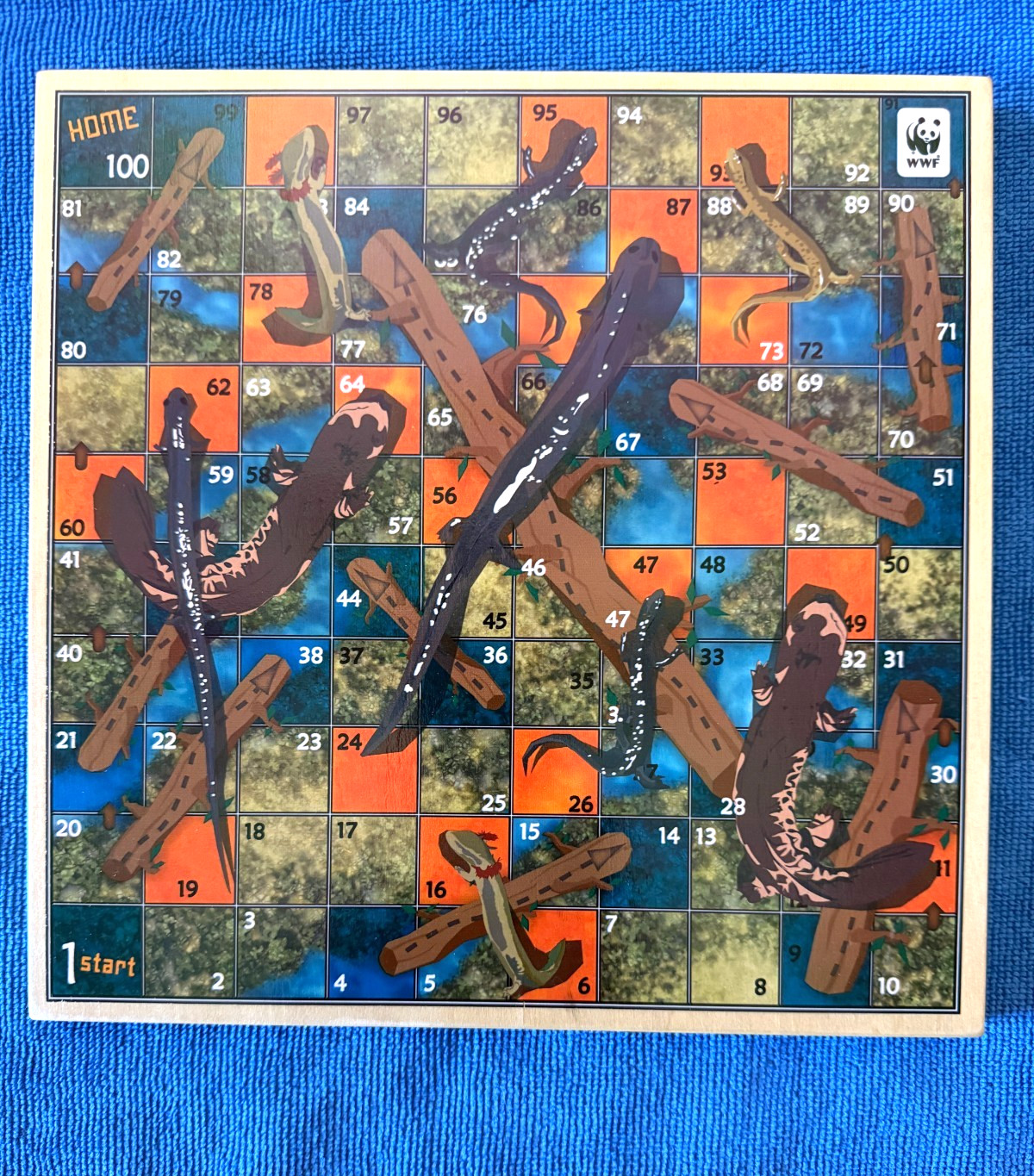 OOP SALAMANDERS (Snakes Chutes) AND LADDERS boardgame WOODEN BOARD game insects