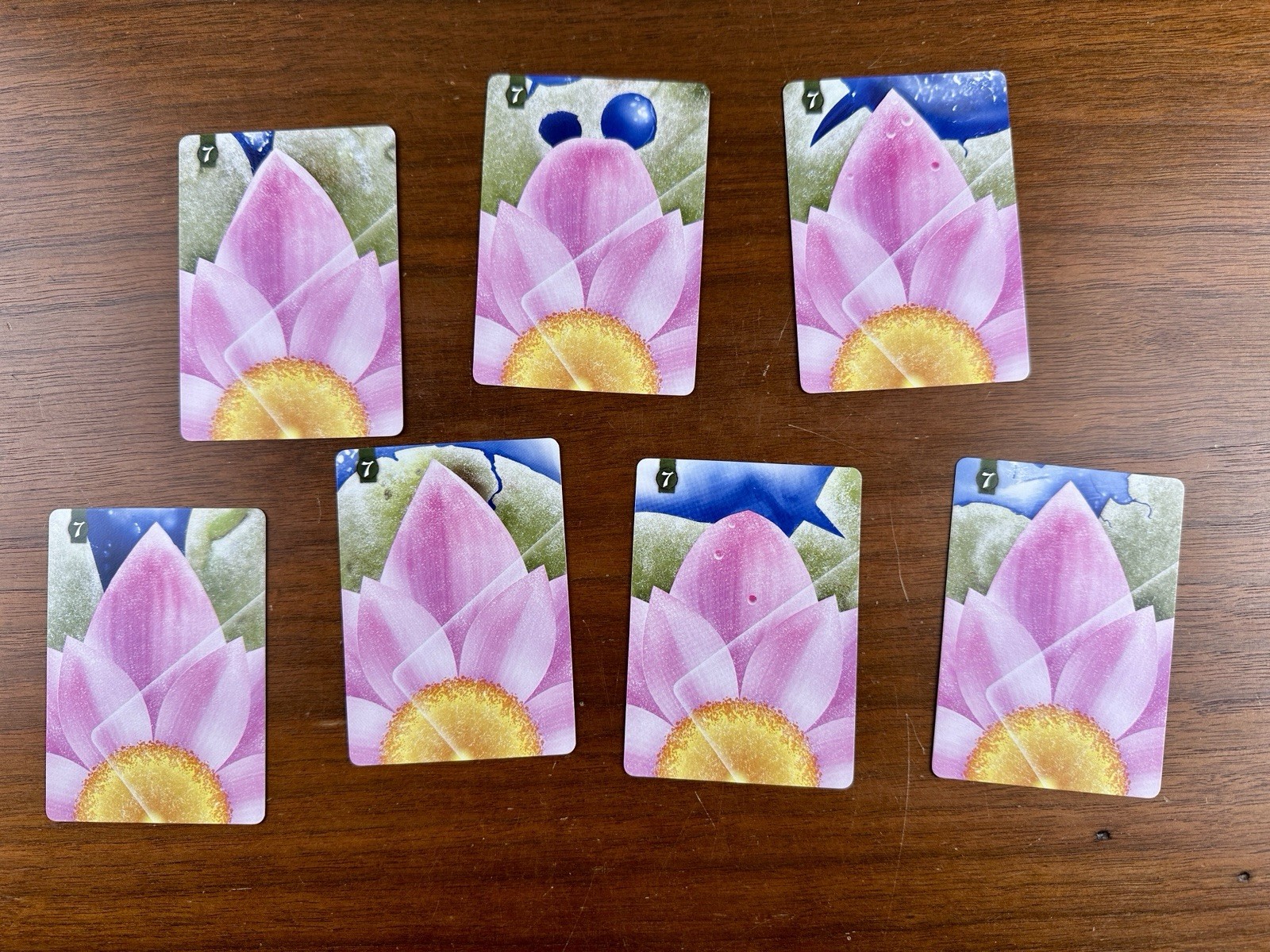 Seven Card Pack Promo for Lotus by Renegade Game Studios (2016)