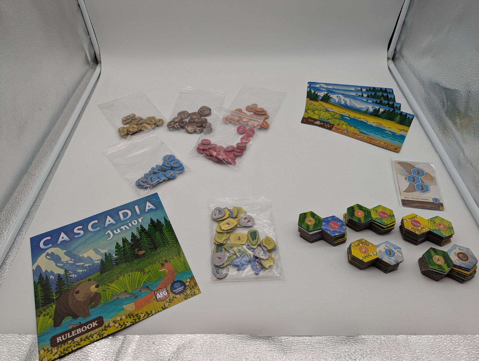 Cascadia Junior Board Game For Kids & Families – 100% Complete