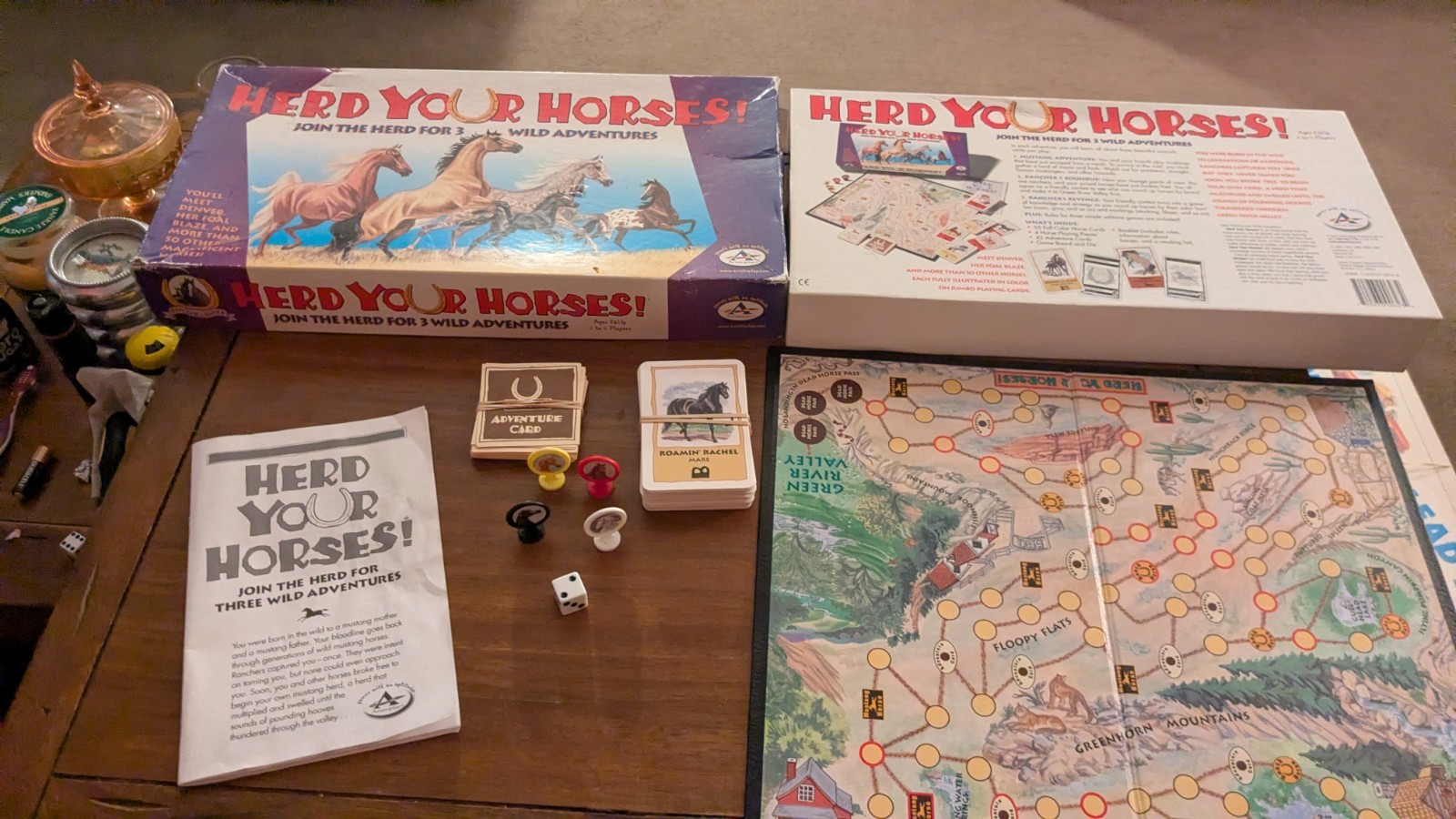 Herd Your Horses Wild Adventures Board Game (2009 Aristoplay, USA) 1 Card Short