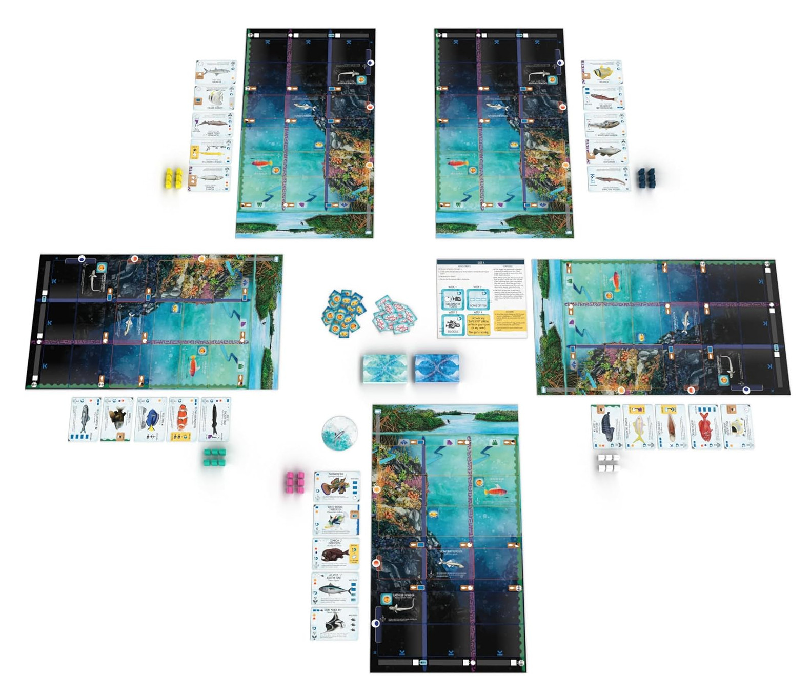 Finspan. Raise your dragons in your caves. STM870. Stonemeier Games. NEW