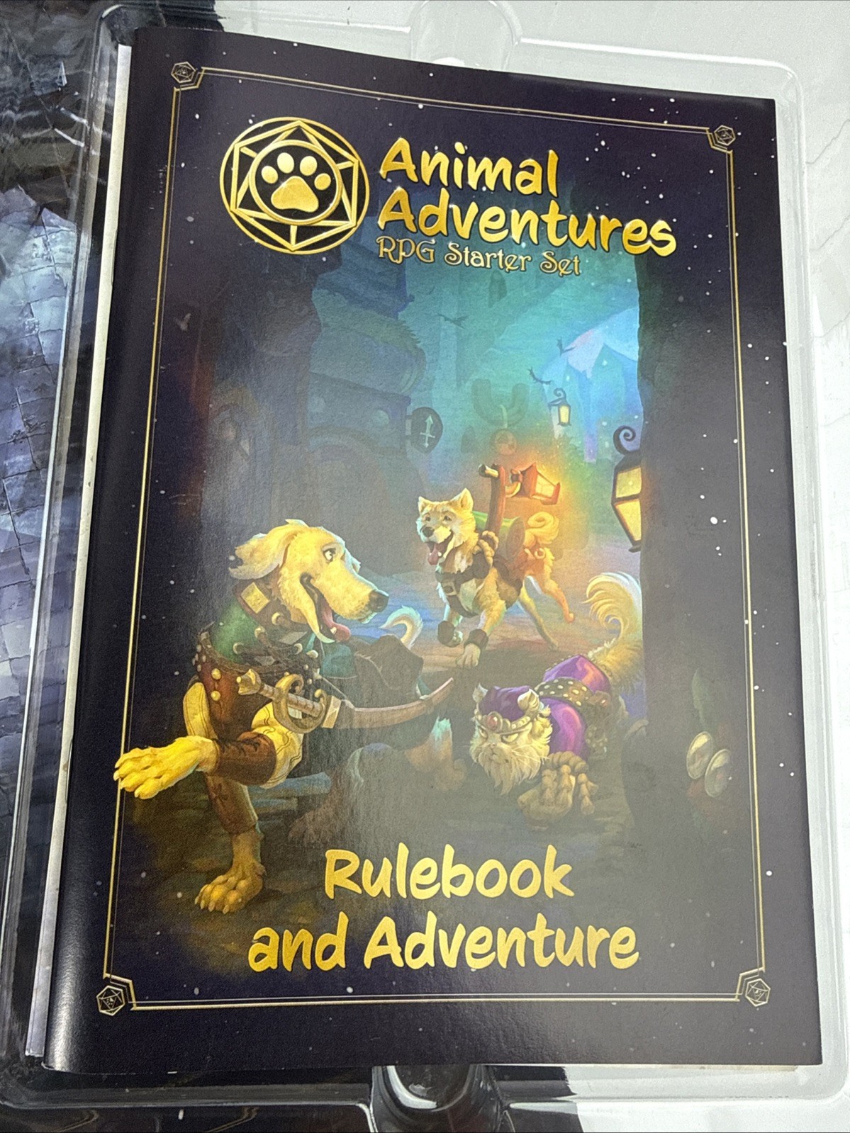 Animal Adventures Starter Set Dungeons Dragons Style Board Game Open Box