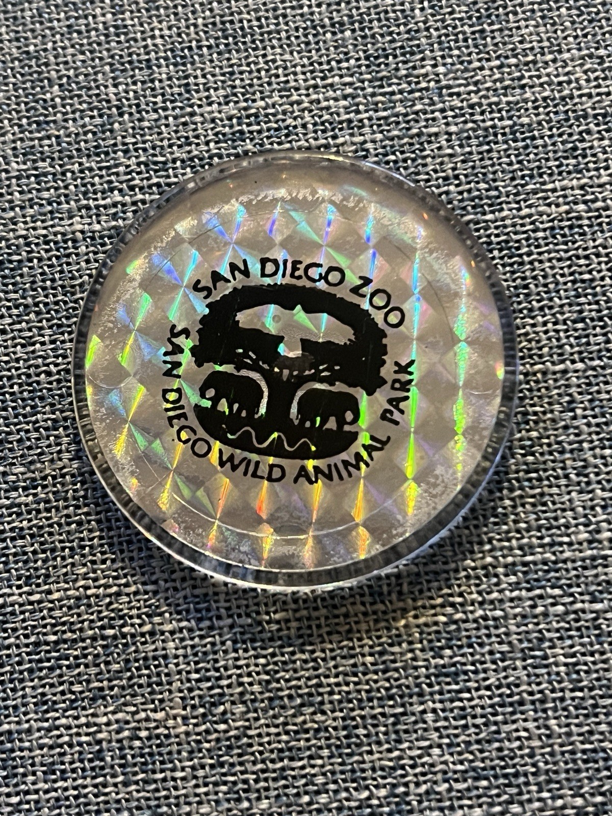 Vintage 1995 Goosebumps Curly Hologram POG Slammer Lot with Gotcha Storage Case