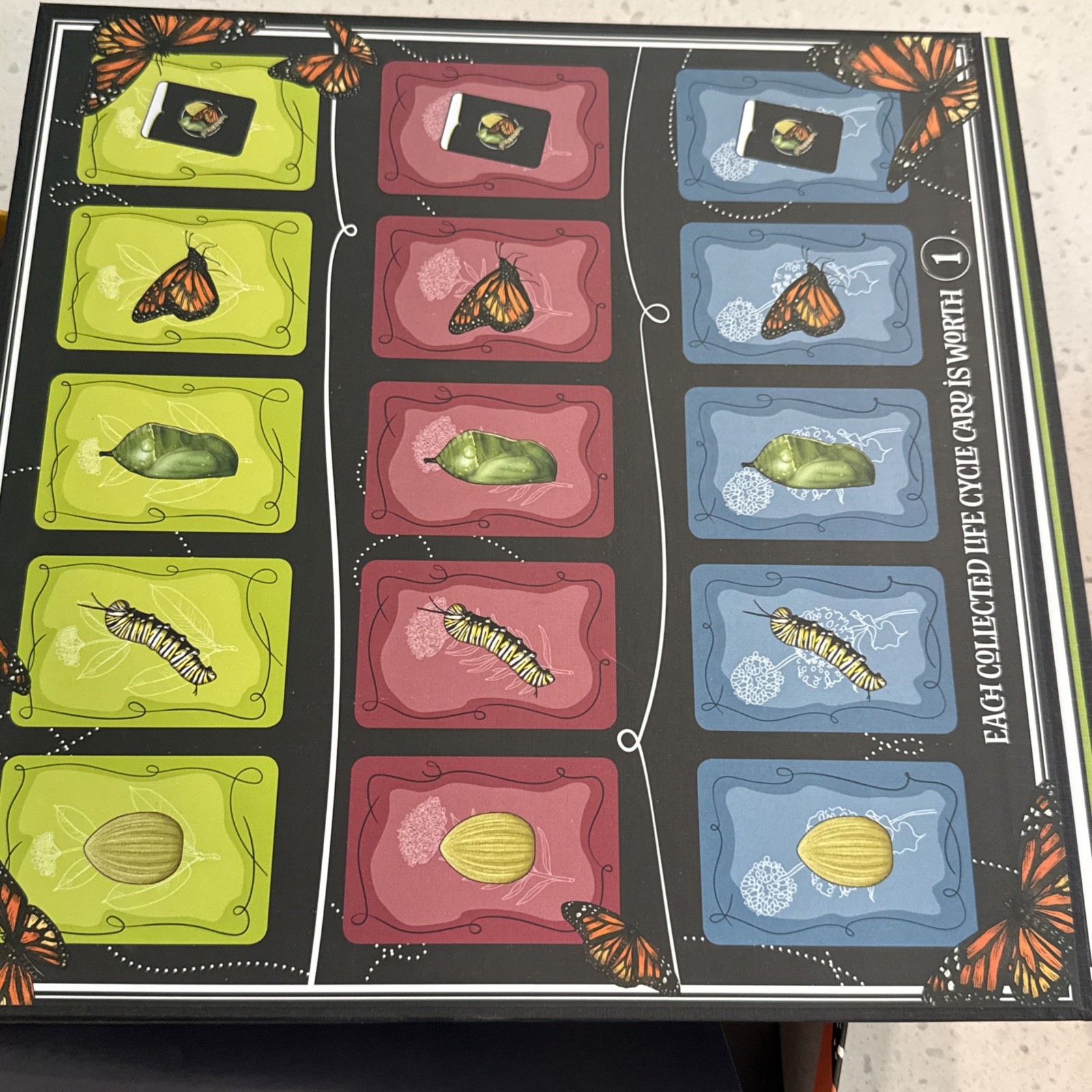 Mariposas Board Game From AEG New Created By Elizabeth Hargrave of Wingspan Fame