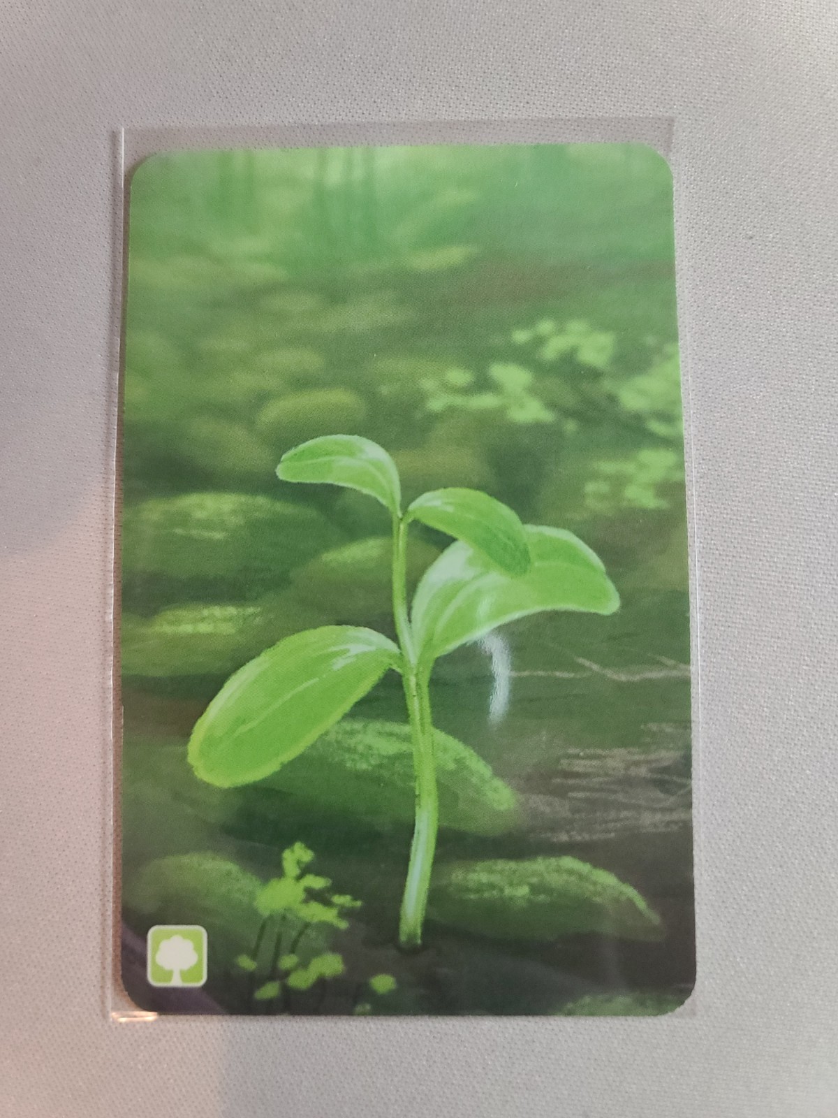 Forest Shuffle – Roseate Spoonbill/American Alligator – Dice Tower 2025 – Promo