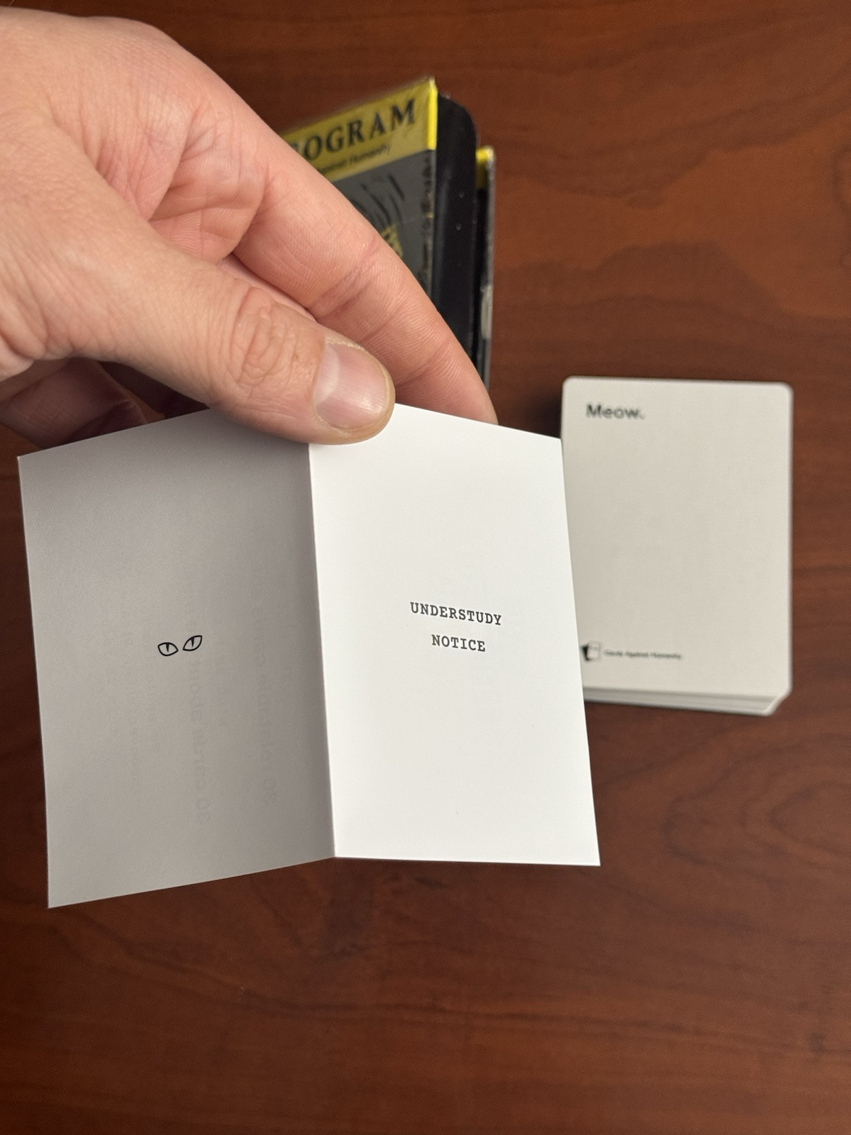 Rare Pack Of Cards Against Humanity CATS Theatre Expansion
