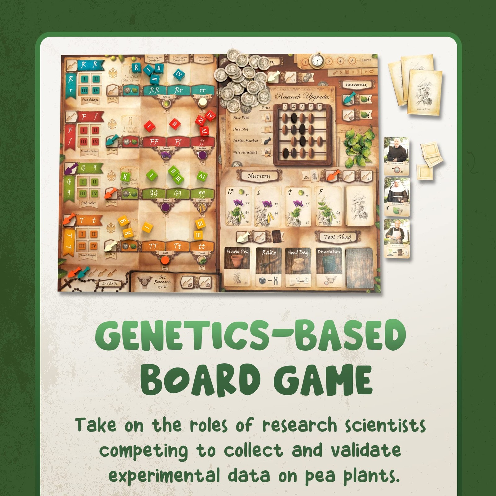 Genotype: Mensa Award Winning Genetics Board Game about Mendel’s Pea Plants