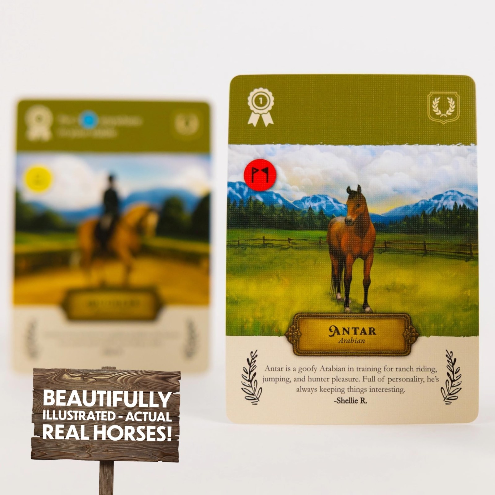 Family Card Game – Cozy Board Game for Kids & Adults, Unique Horses, 1-5 Players
