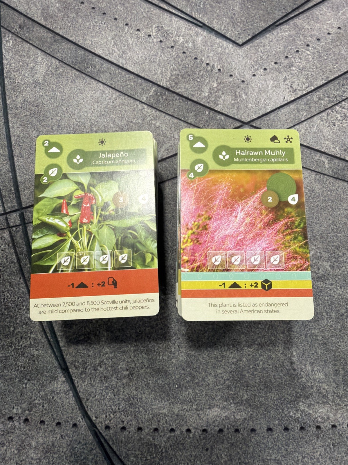 Earth Cards Earth Board Game Replacement Parts Inside Up Games