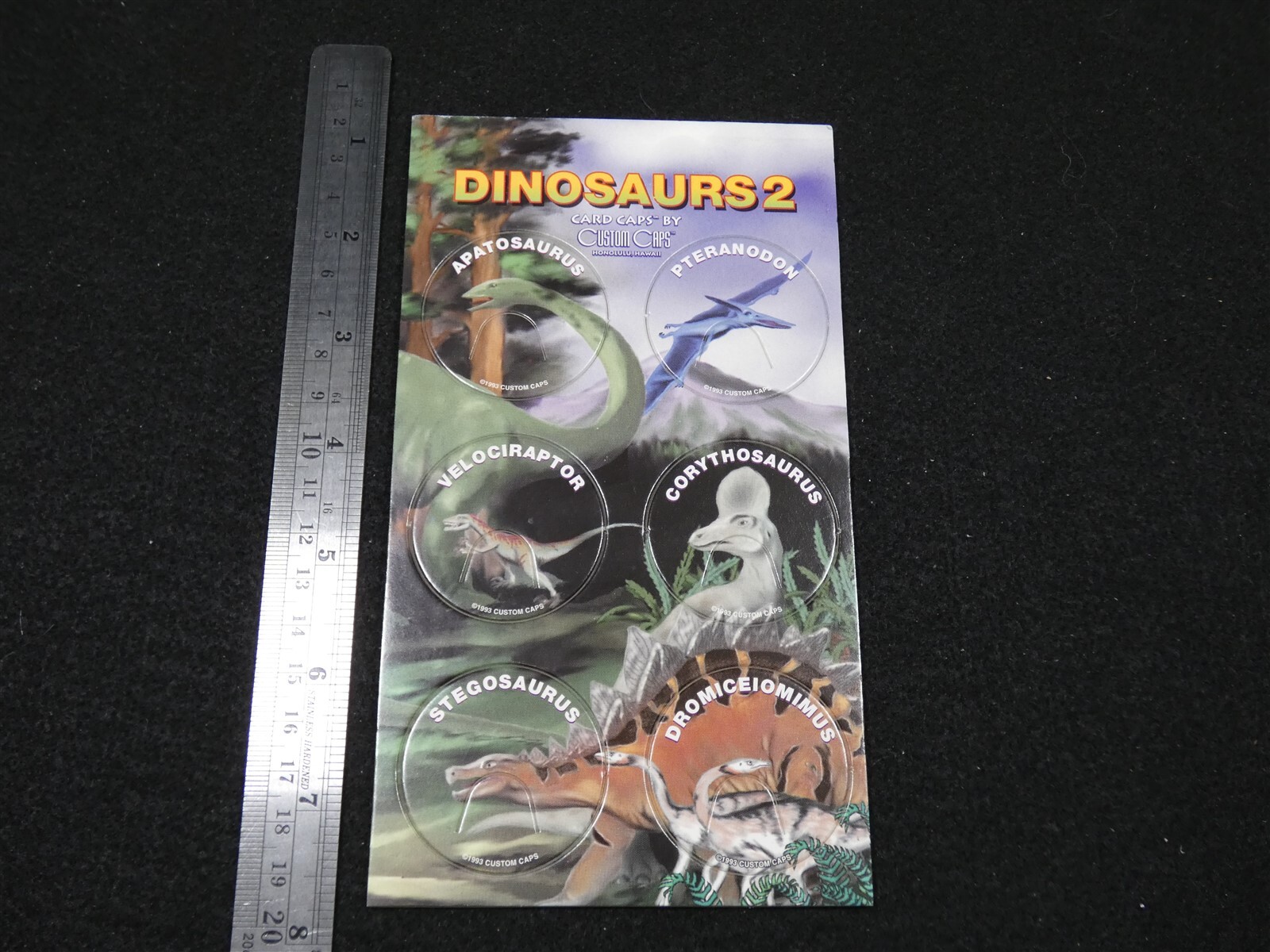 Lot 4 Sheet Card Caps Custom Caps Pogs Hawaiian Sharks Whales Dolphins Dinosaurs