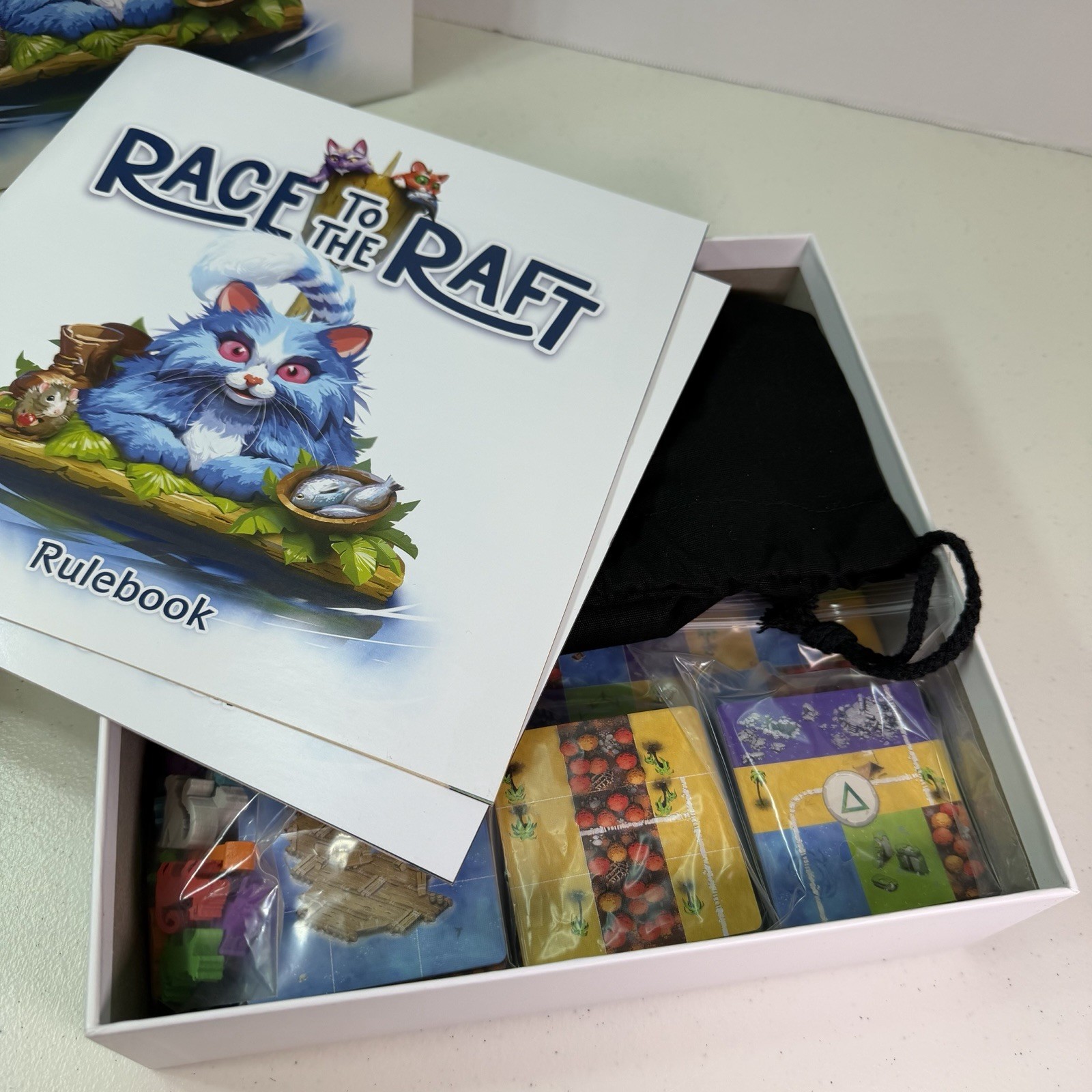 Race To The Raft Co-op Board Game The City Of Games Frank West Complete