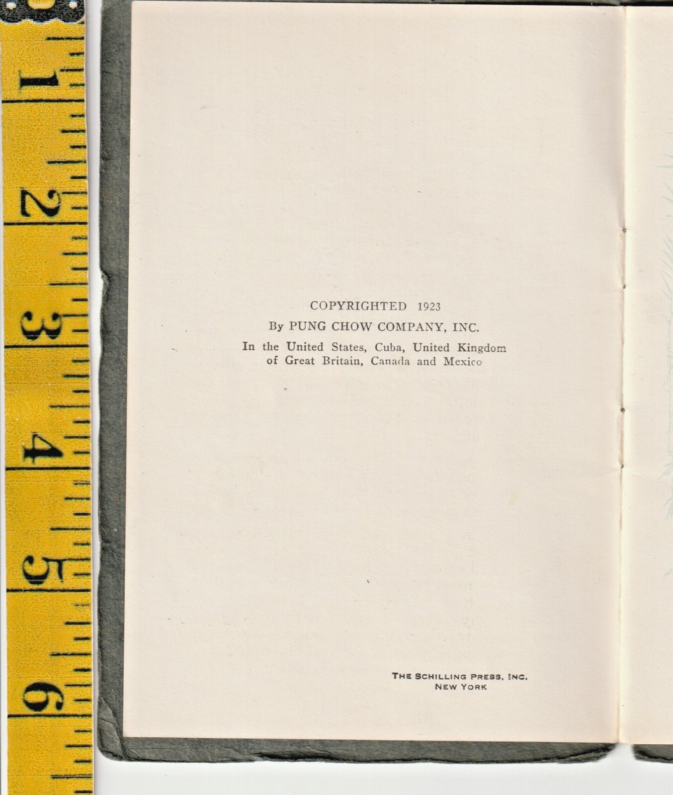Rare Original 1923 Rule Book “Pung-Chow The Game Of A Hundred Intelligences”