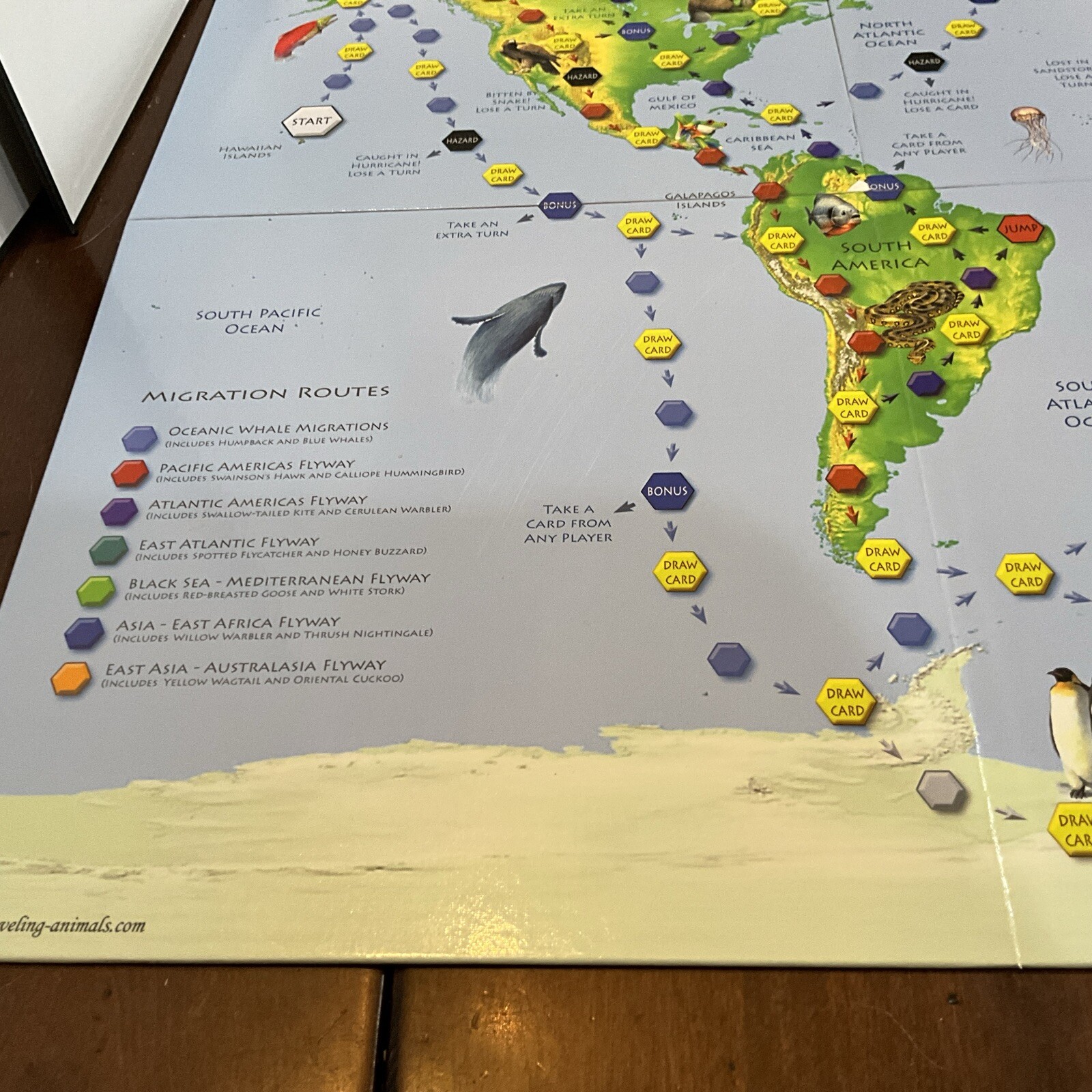Traveling Animals Race To Save The Animals Board Game