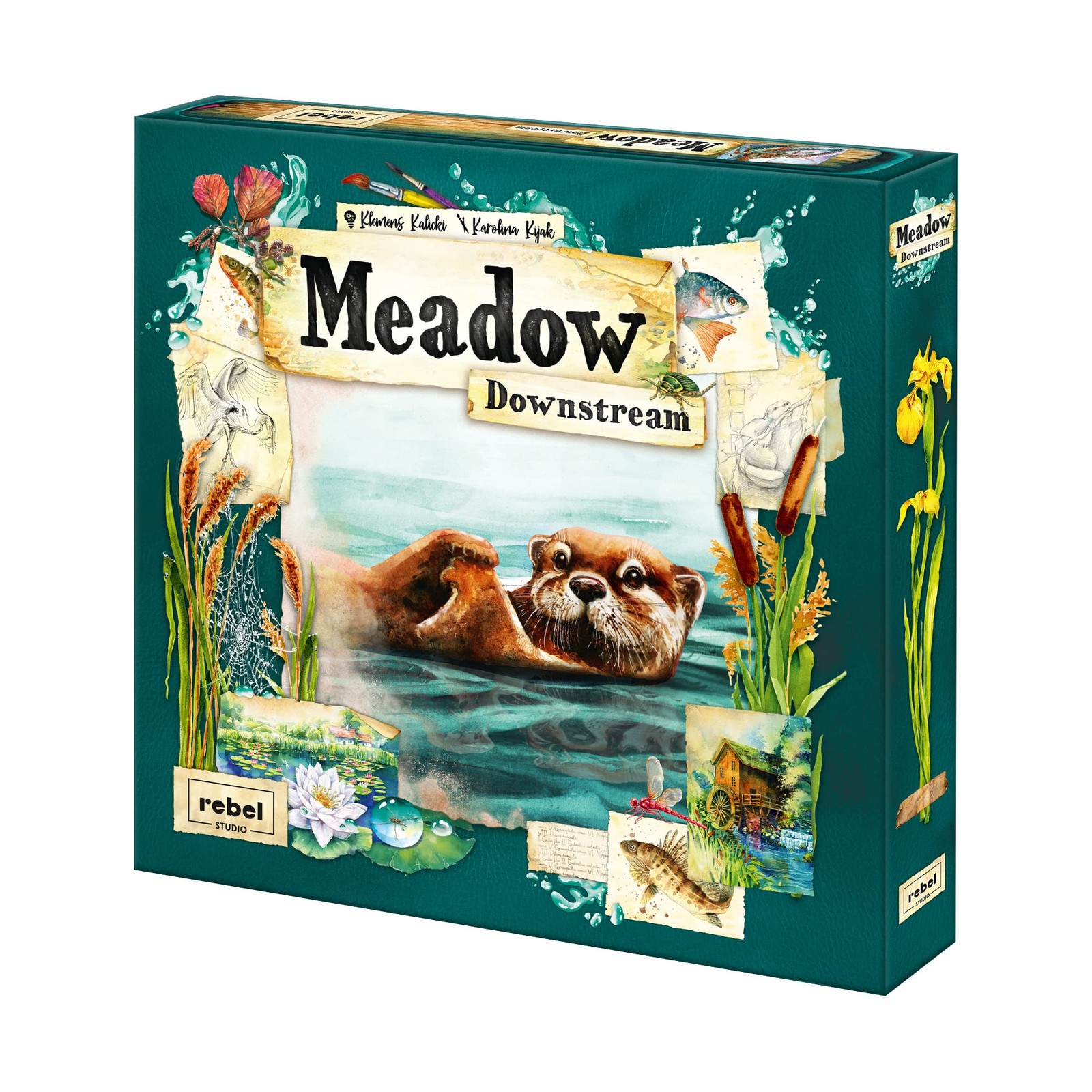 Meadow Downstream Expansion Nature Themed Strategy Board Game For 1 To 4 Players