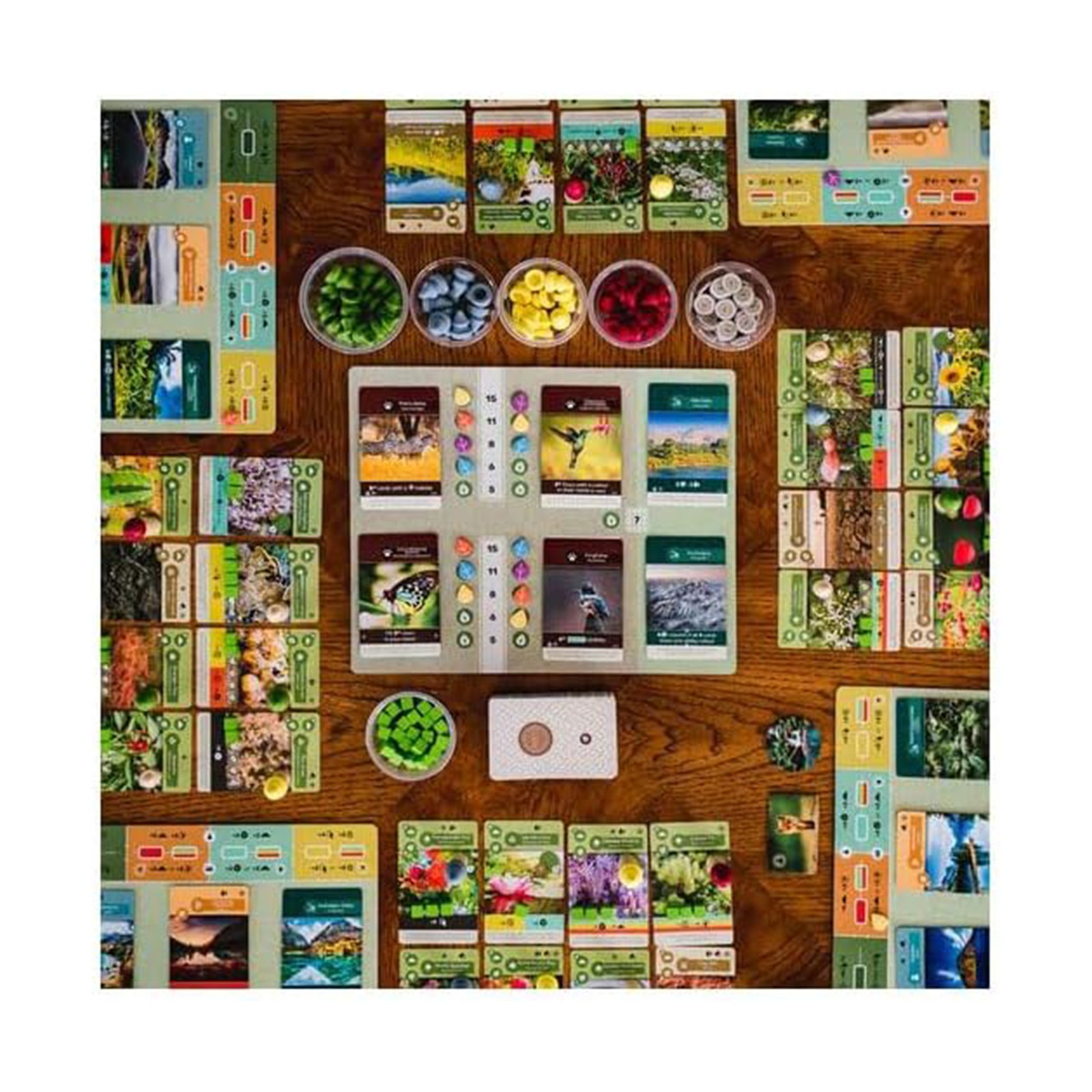 New – Inside Up Games Earth – Ages 14+ | 1-5 players