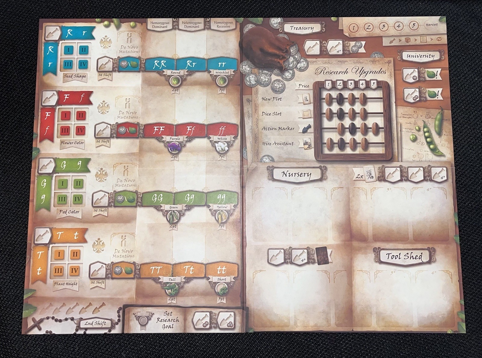 Genotype Mendelian Genetics Strategy Board Game for 1-5 Players