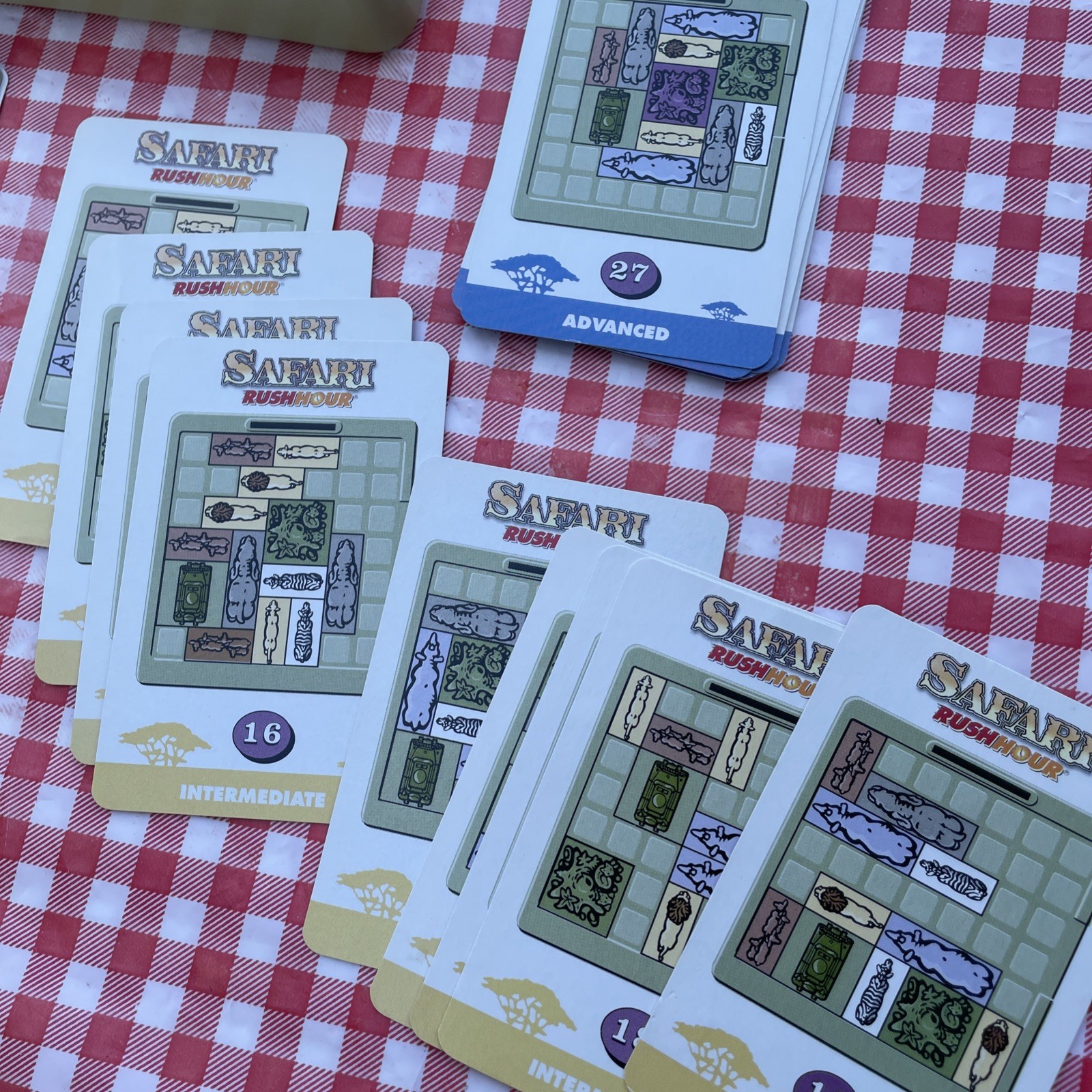 Safari: Rush Hour Jungle Escape Game Binary Arts Homeschool Growth Mind Complete