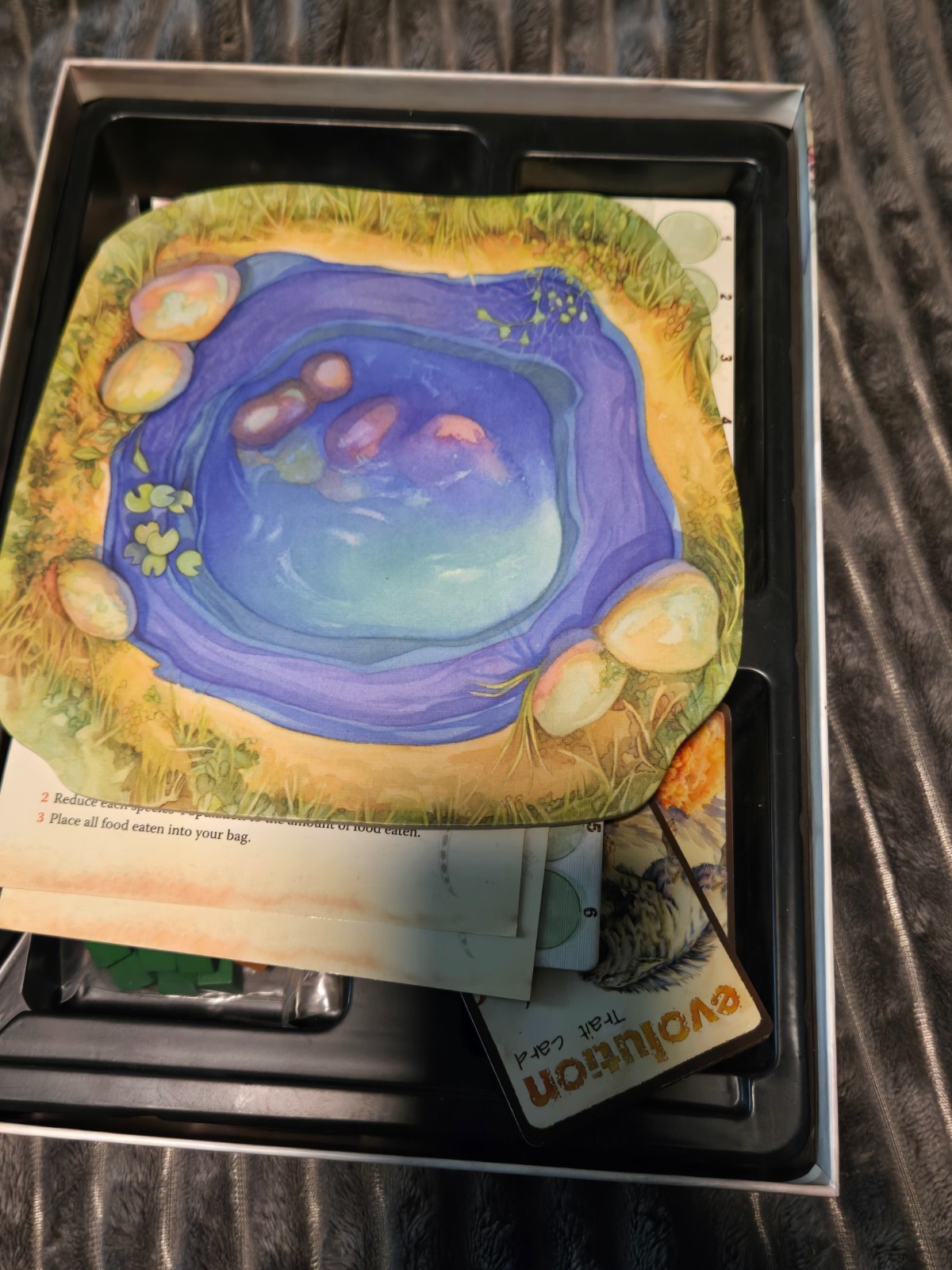 Evolution Board Game North Star Games Science Education Complete Nice Open Box