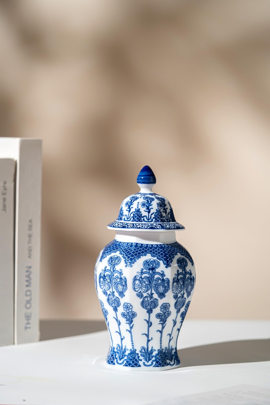 Blue and White Ginger Jar, Ceramic Chinoiserie Decorative Jars for 10″H,