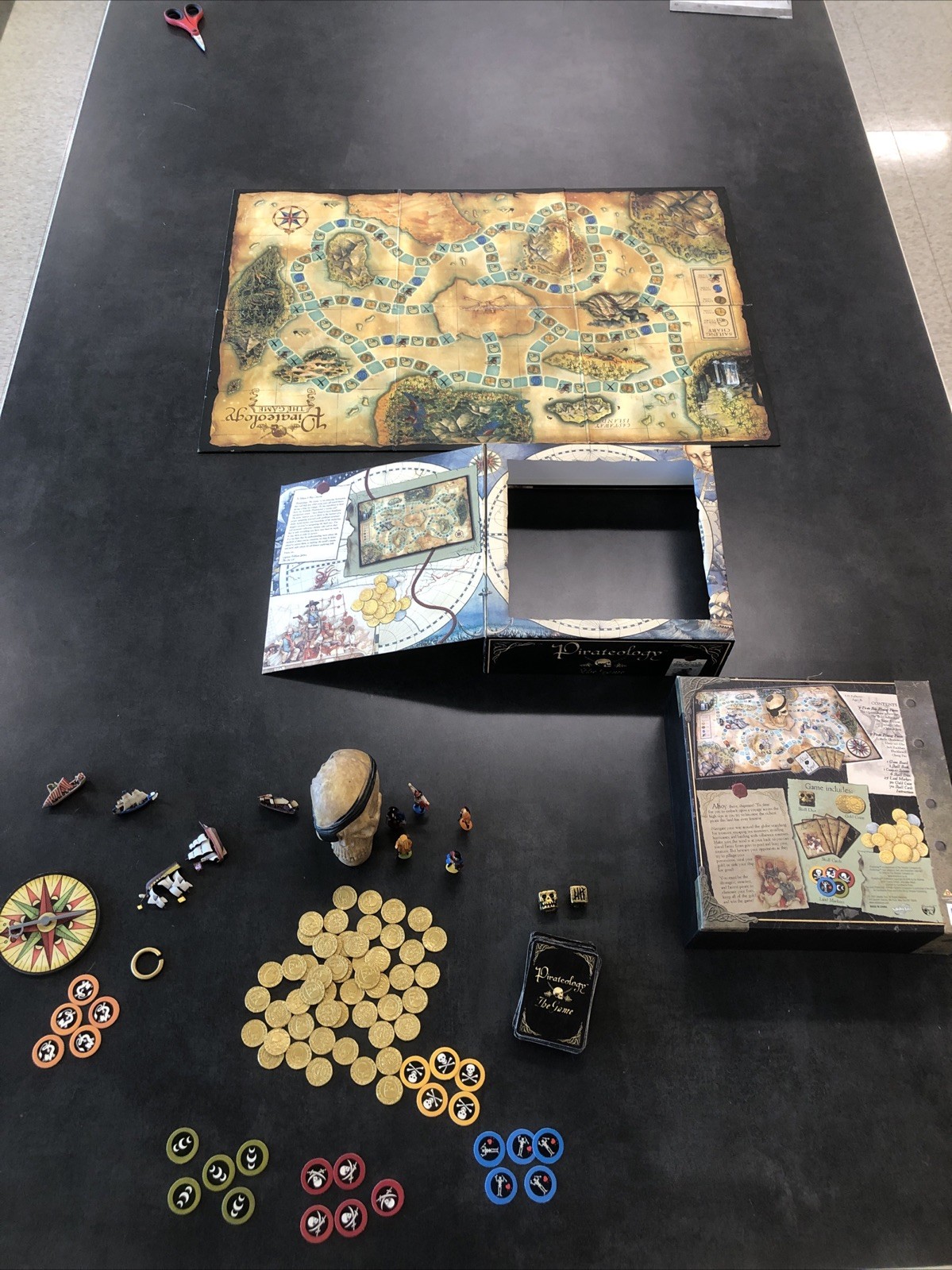 Pirateology Board Game 2007 Based On The Book Series Sababa Toys Two Dice Read