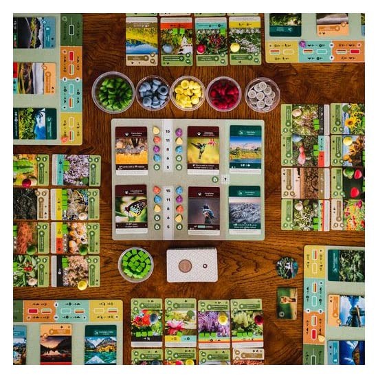 Inside Up Games Game Of The Year Building Card Drafting Action Amazing Natural