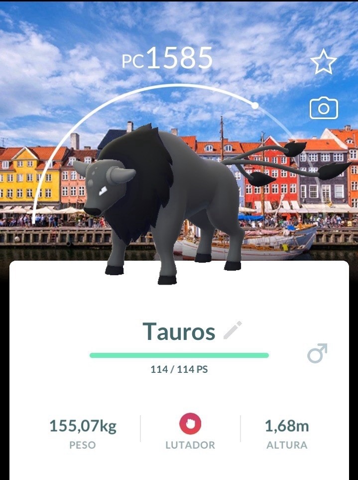 POKEMONS BG GOFEST 2026