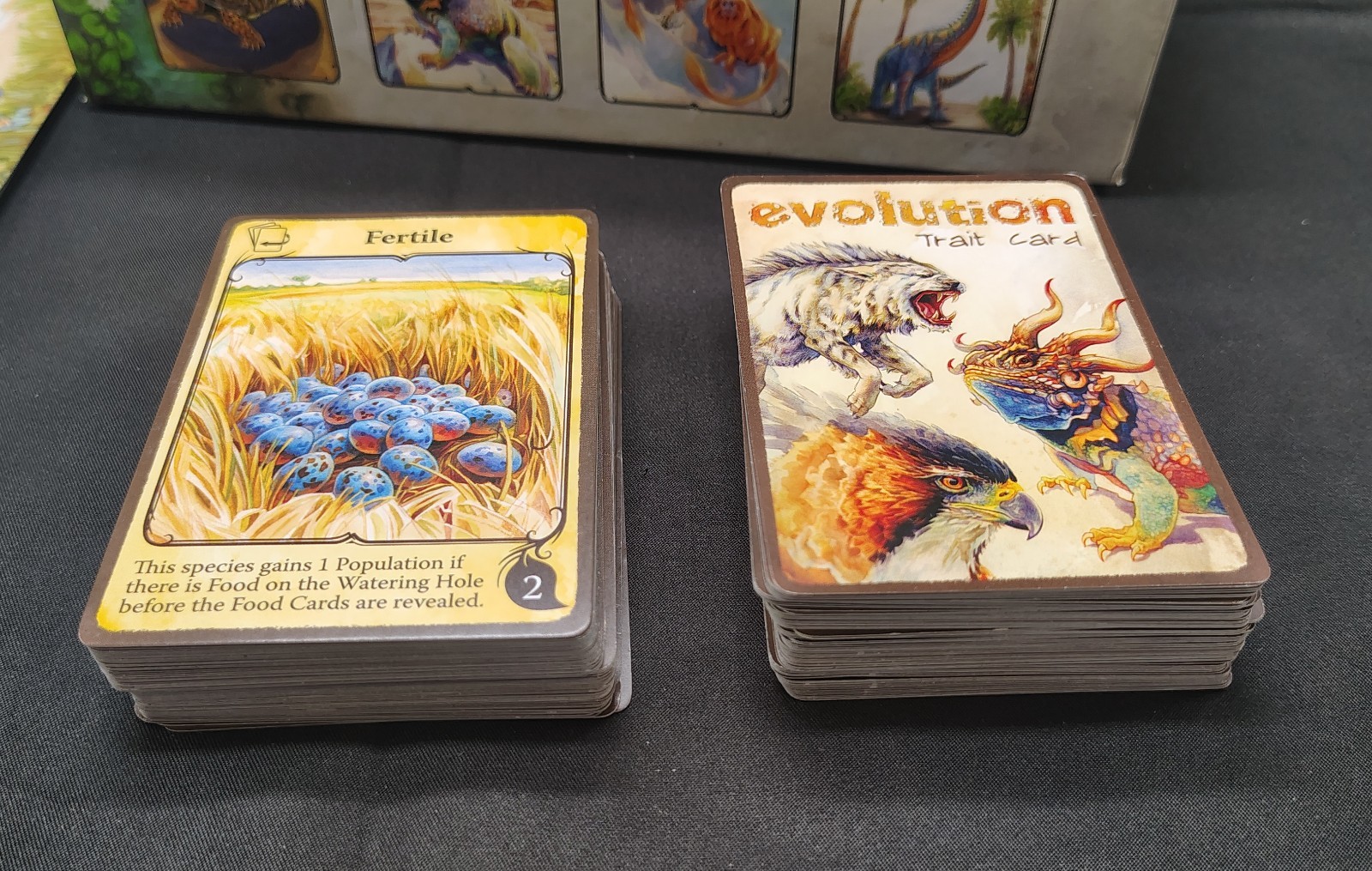 Evolution board game from North Star Games — 100% complete