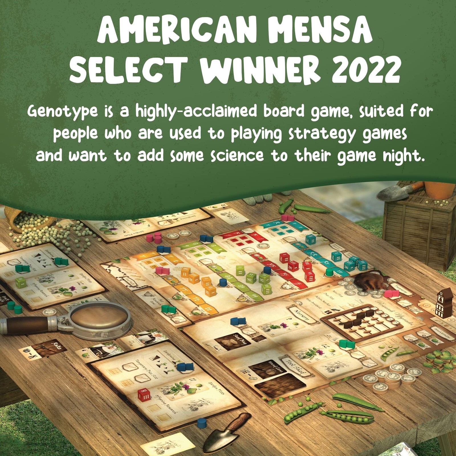 Genotype: Mensa Award Winning Genetics Board Game about Mendel’s Pea Plants