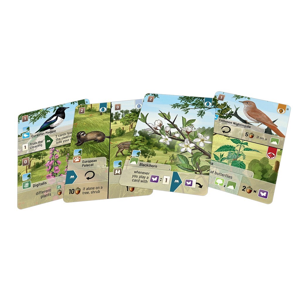 Woodland Edge Expansion Forest Shuffle Card Game Family Lookout LK0185 Board