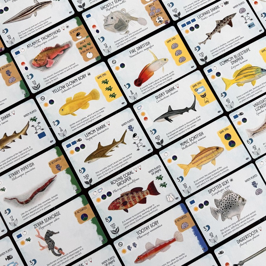 Finspan: Sharks & Reefs Expansion Board Game by Stonemaier