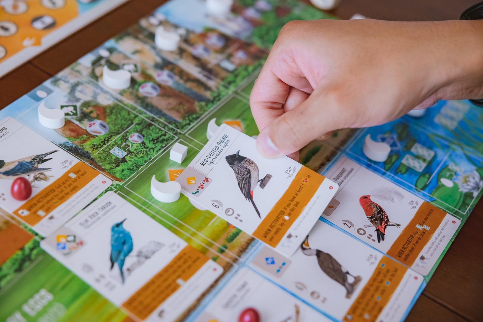 Wingspan Asia Board Game Bird Collecting Solo and Duet Mode Expansion 80 Char…