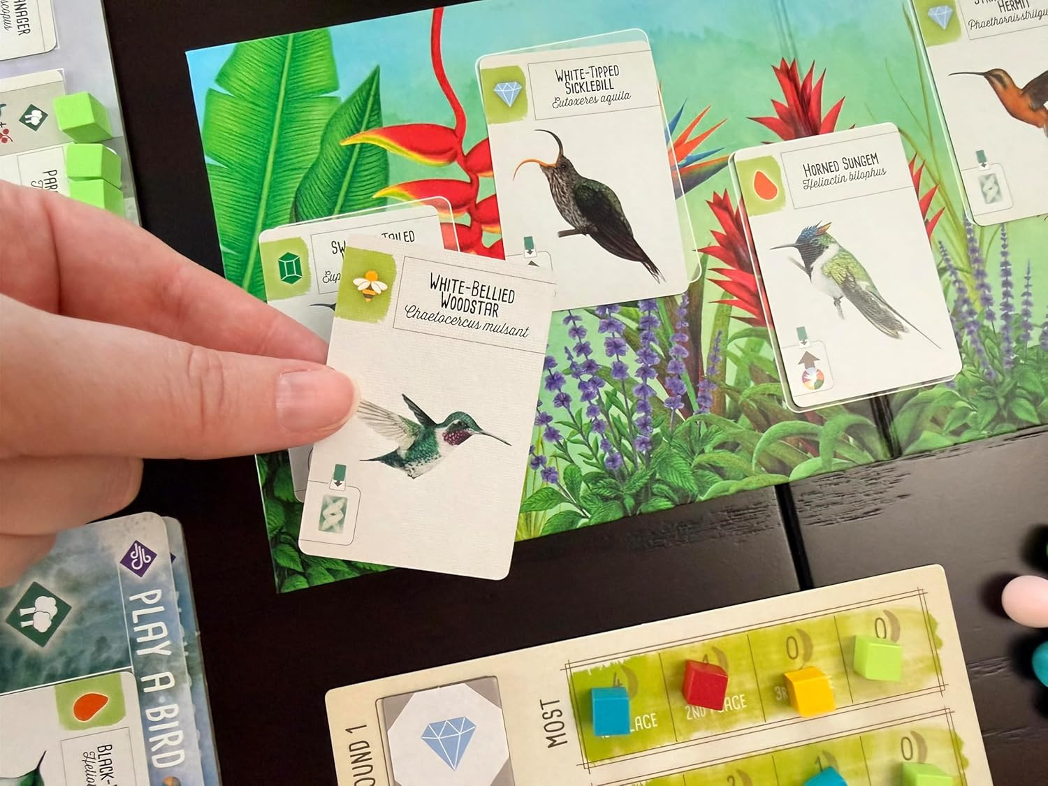 : Wingspan Americas Expansion by Elizabeth Hargrave | Add to Wingspan | Includes