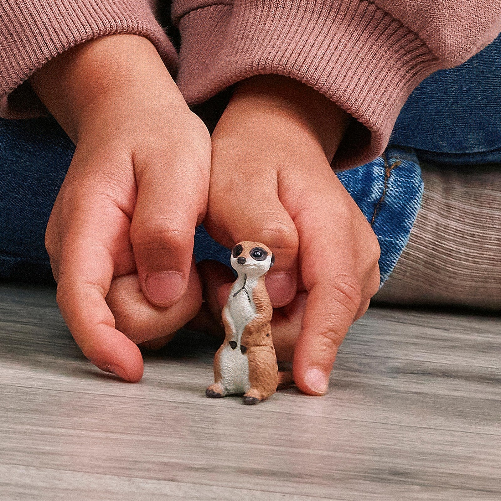Schleich Wild Life Meerkat Figure Model 14935 Multicolor