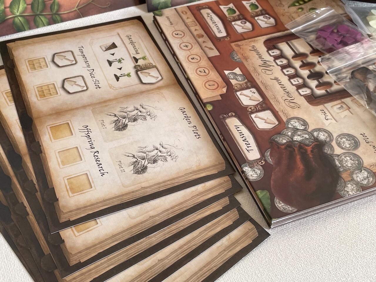Genotype: A Mendelian Genetics Board Game by Genius games – Mint Condition