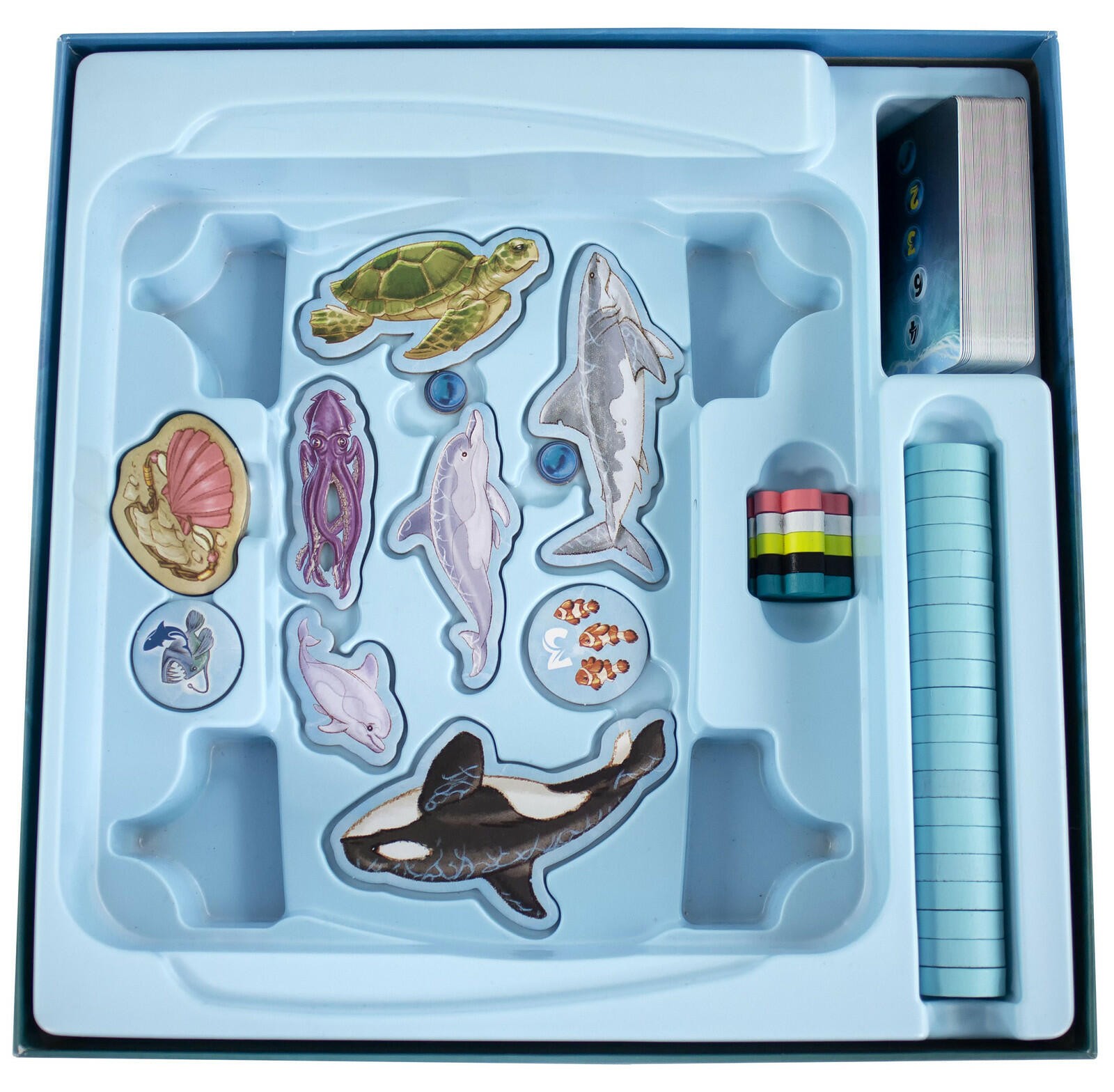 Dive Board Game – Catch a Ride on a Sea Turtle or Dolphin
