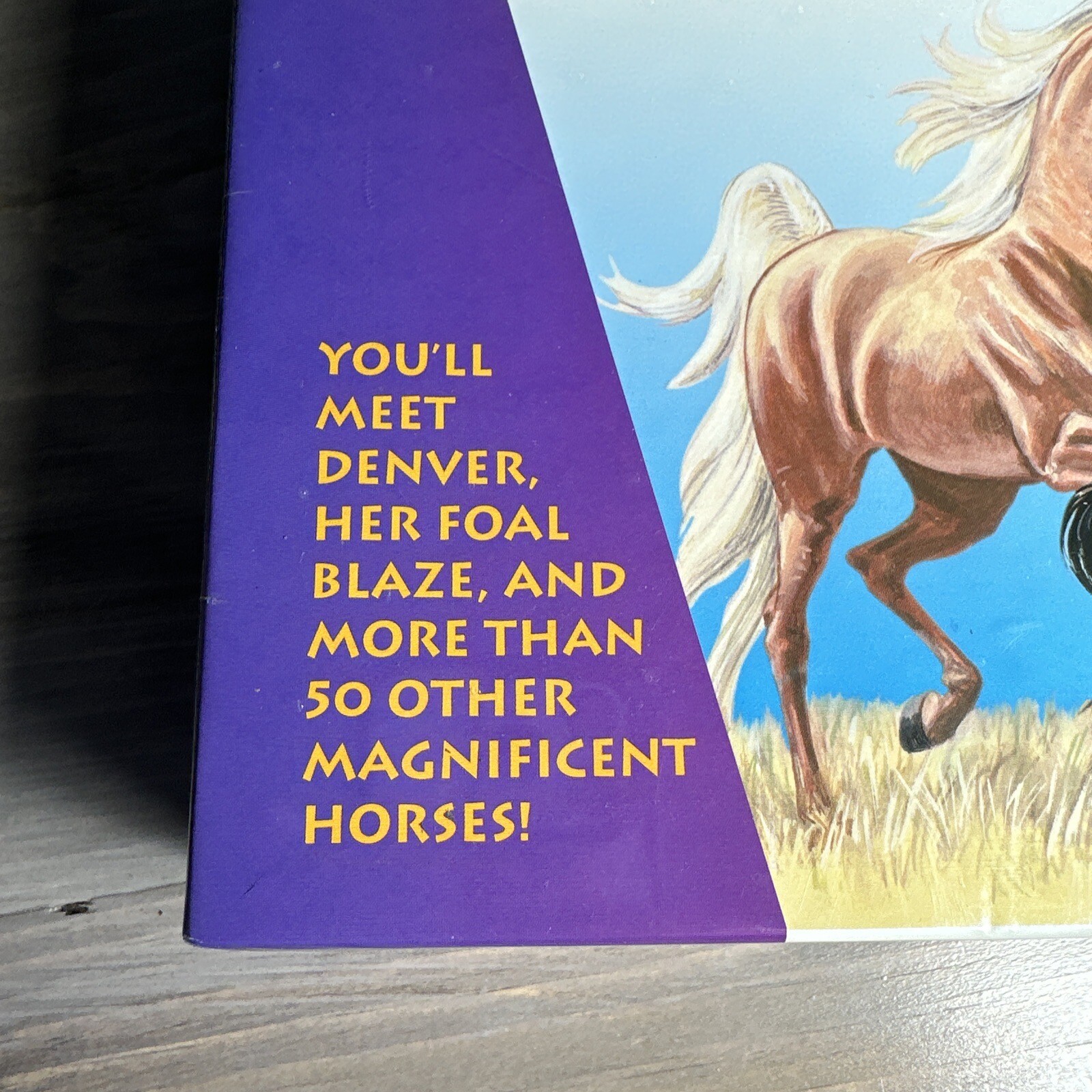 Herd Your Horses Board Game 3 Wild Adventures Aristoplay *New & Sealed*