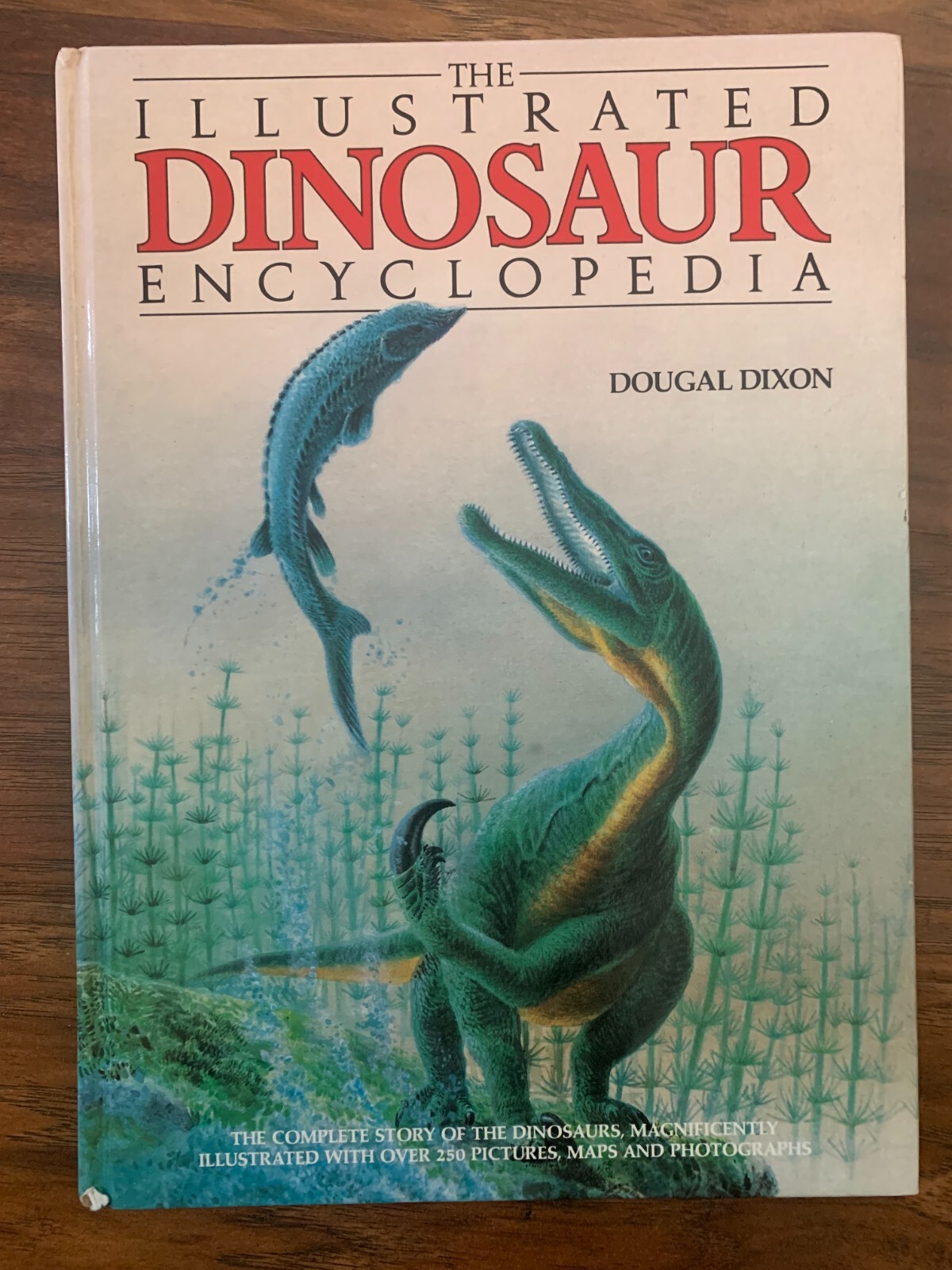 Dinosaur Game Lot: Dinosaur Bingo+24Pc Puzzle+3 Books+Dino Valentines Mailbox