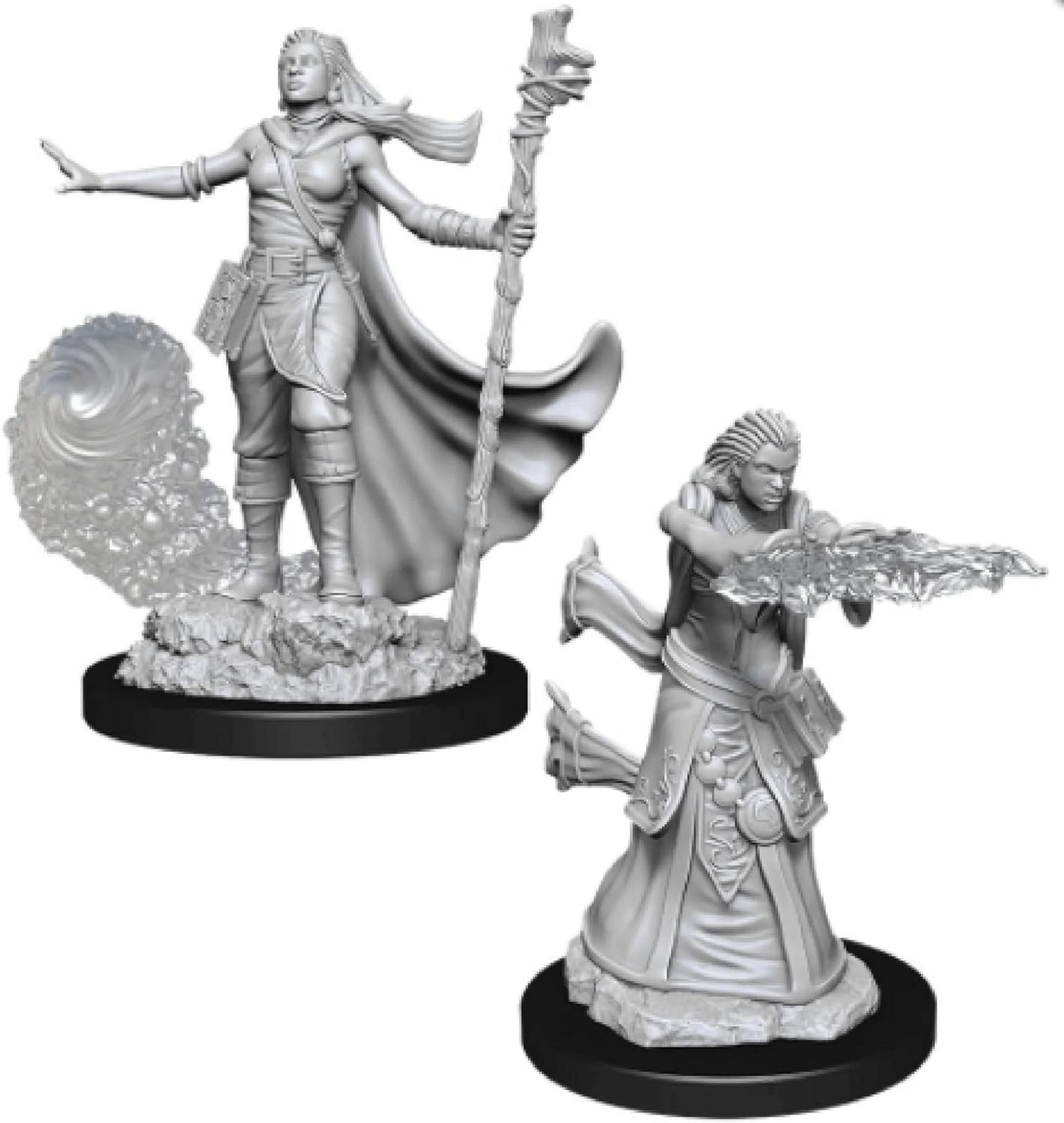 D&D Nolzur’s Marvelous Miniatures: Male Human Druid
