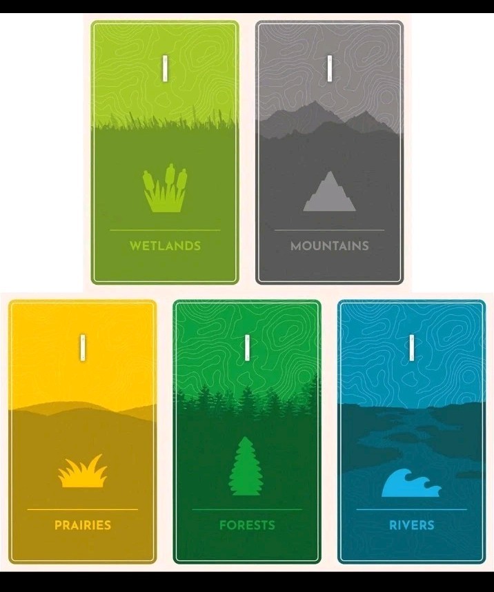 Cascadia Rolling Rivers Flip Roll And Write Board Game Alderac Flatout AEG 1062