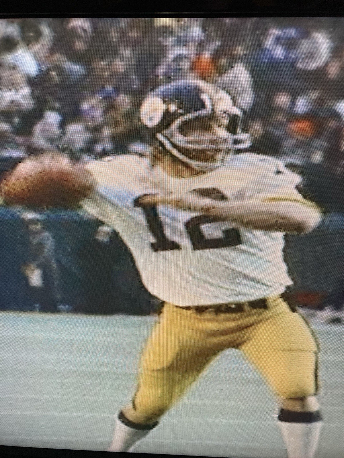 NFL 1974 Season Charts for Paydirt