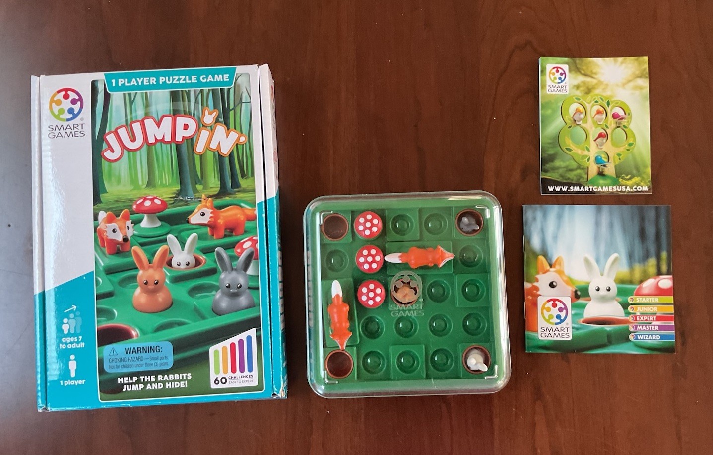 JUMP IN GAME Smart Games, 1 Player, Multiple Challenges, NEW! (see Notes)