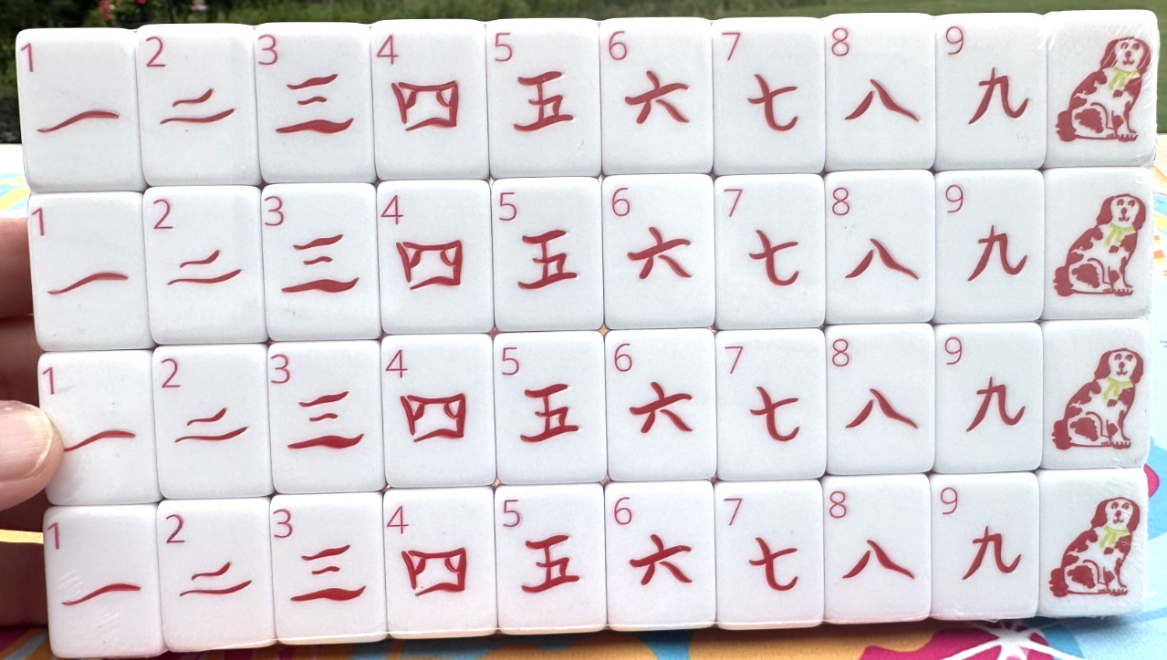ORANGE PUPPY 4 Layer Acrylic Mahjong Tiles – American Set 160 Tiles US SELLER!