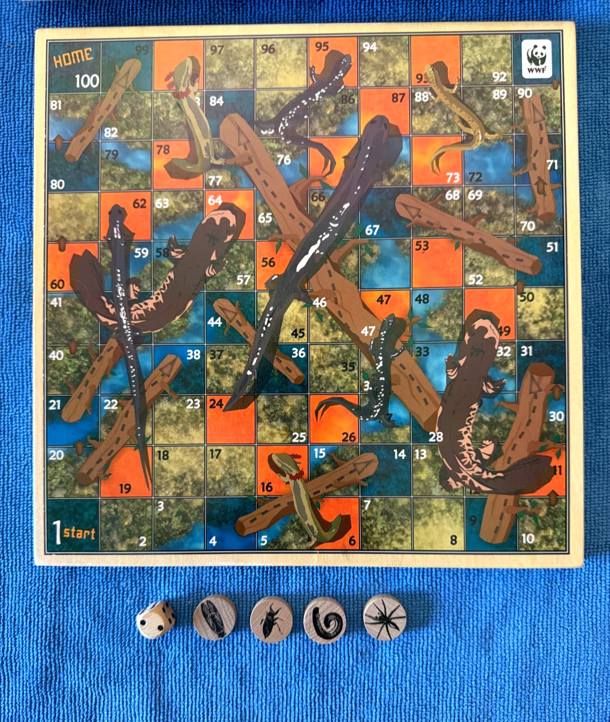 OOP SALAMANDERS (Snakes Chutes) AND LADDERS boardgame WOODEN BOARD game insects