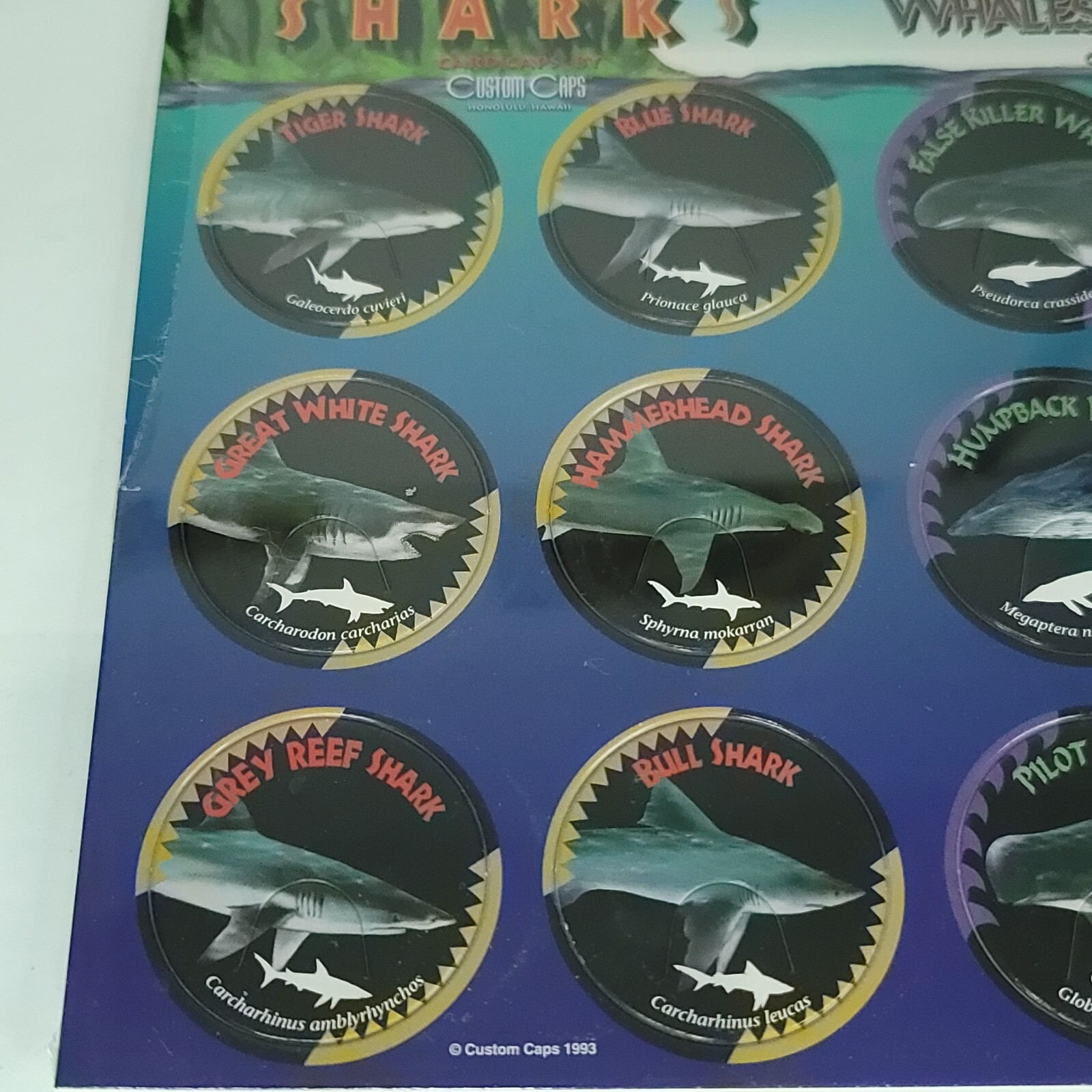 Pogs Sharks Whales Dolphins Custom Caps Sealed On Card NEW