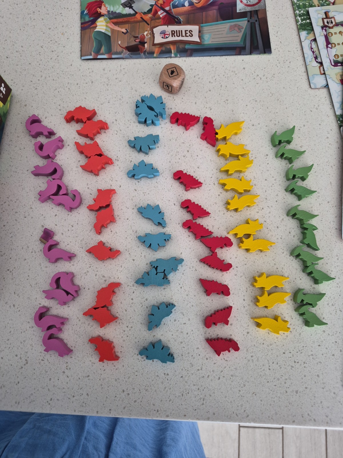 Draftosaurus Board Game by Ankama English Version of GERMAN game Educational