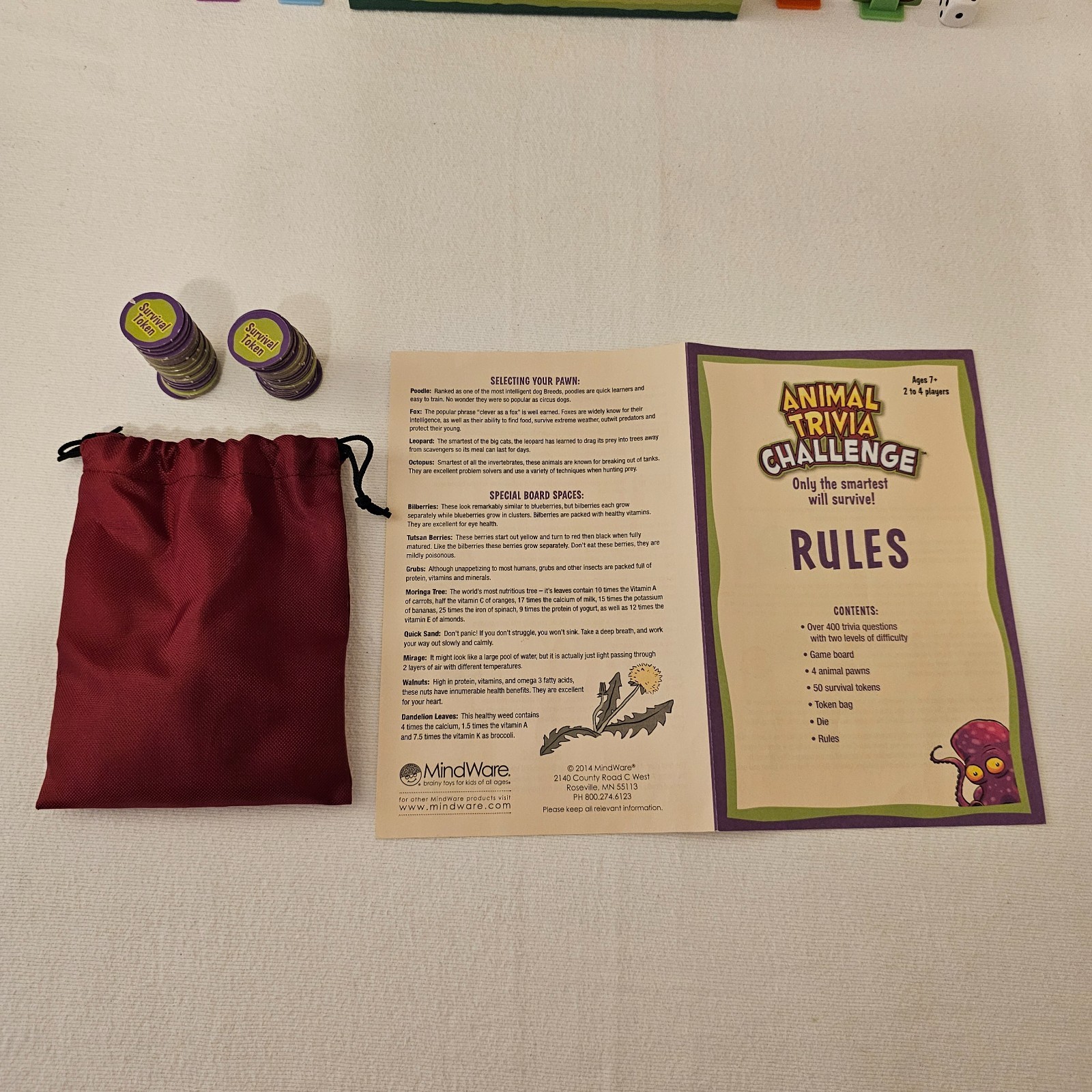 Animal Trivia Challenge board game Animal Facts: “Know It, Name It, or Rank It”