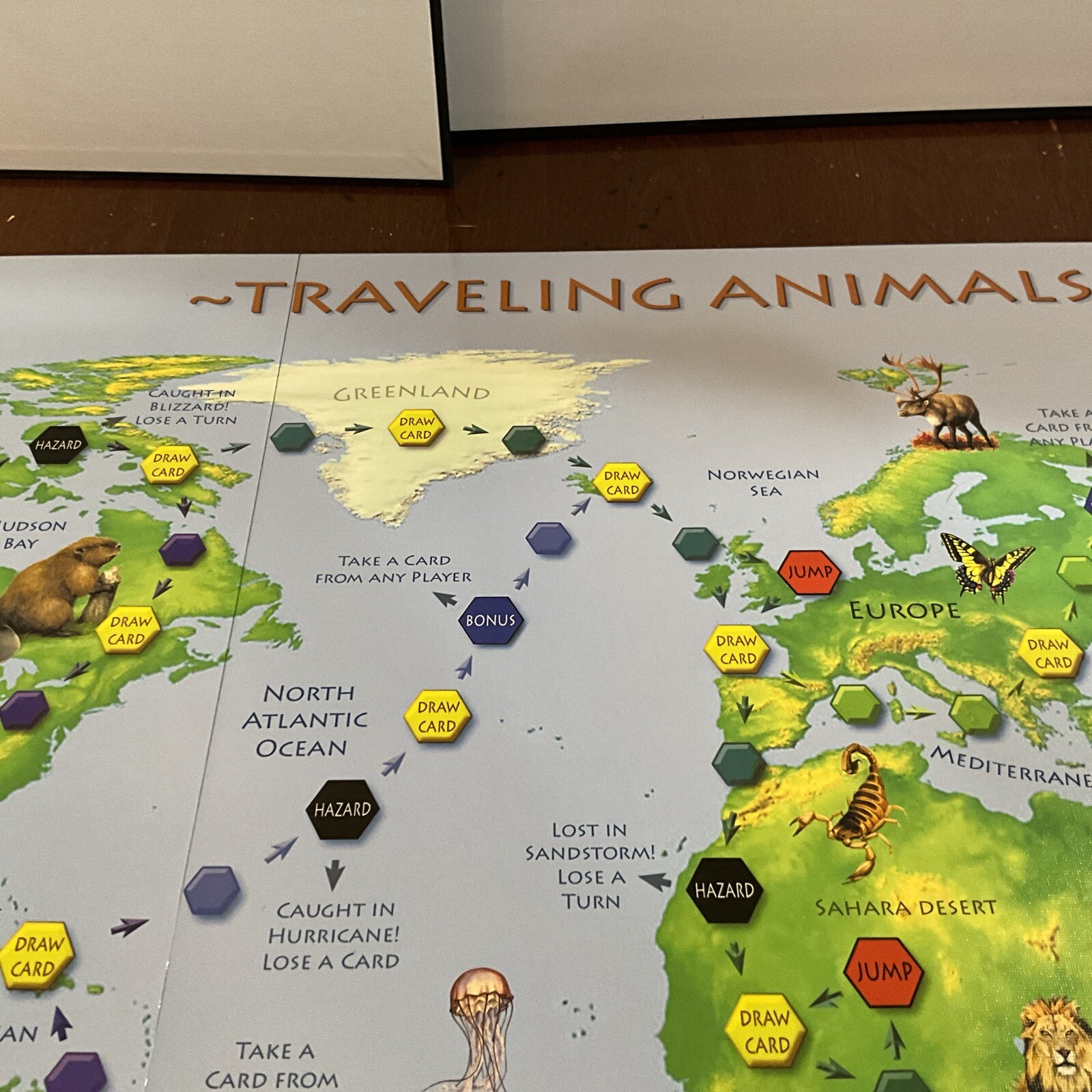 Traveling Animals Race To Save The Animals Board Game